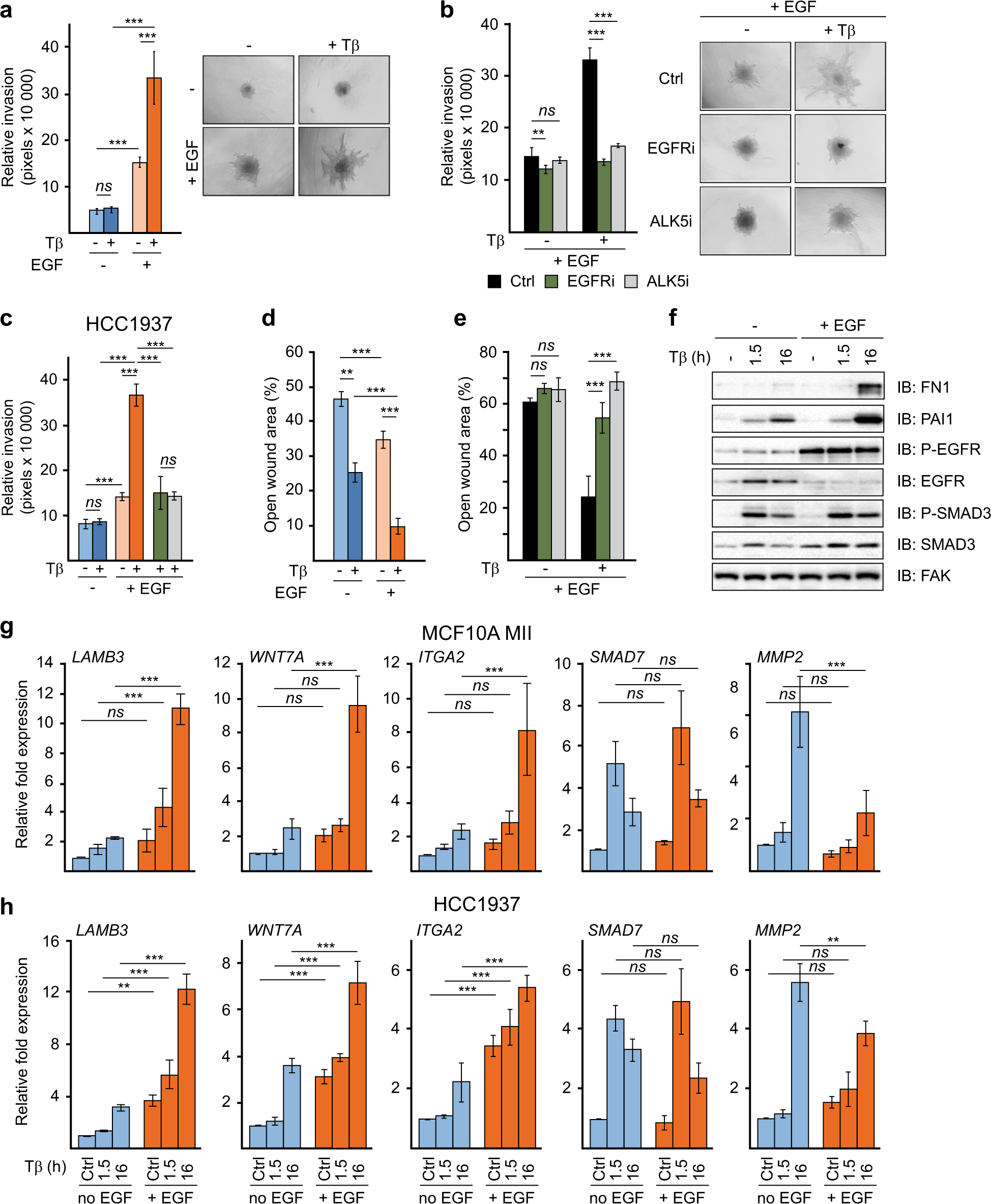 Fra-1/AP-1 induces EMT in mammary epithelial cells by modulating Zeb1/2 and  TGFβ expression