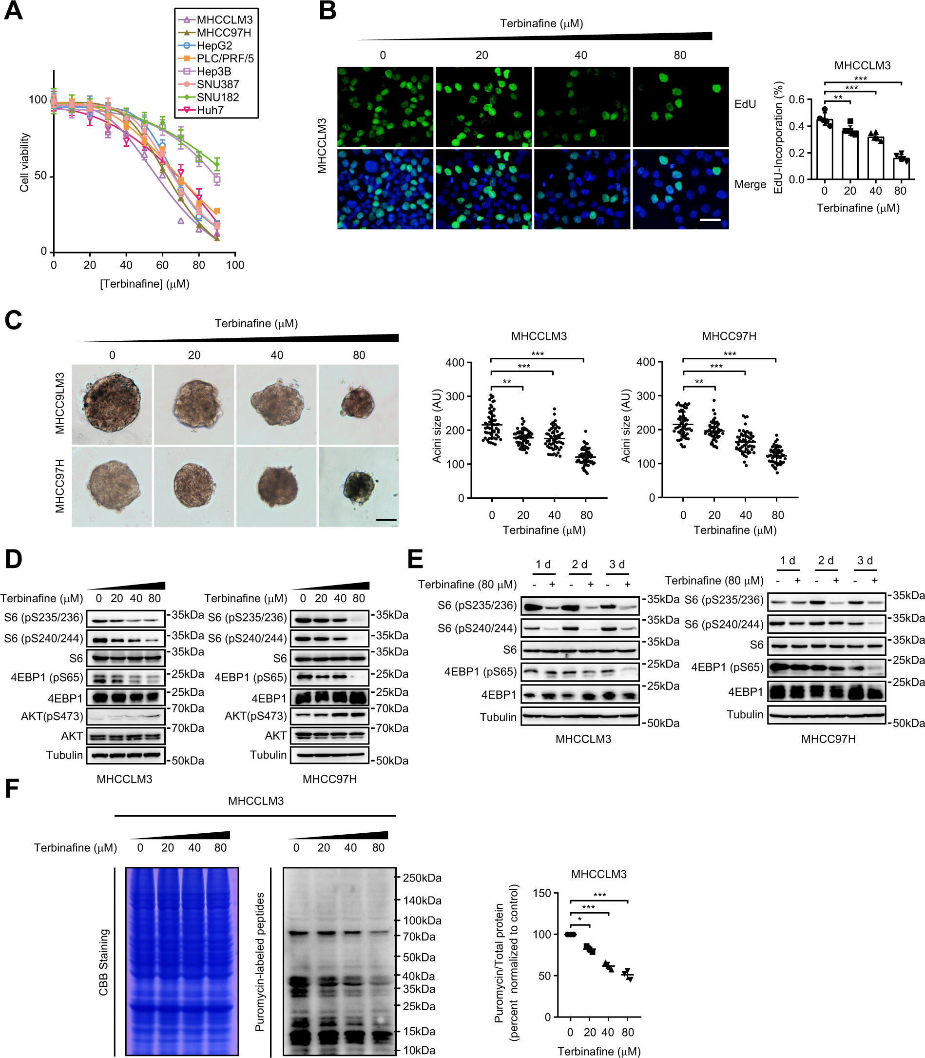 Antifungal agent Terbinafine restrains tumor growth in preclinical models  of hepatocellular carcinoma via AMPK-mTOR axis | Oncogene