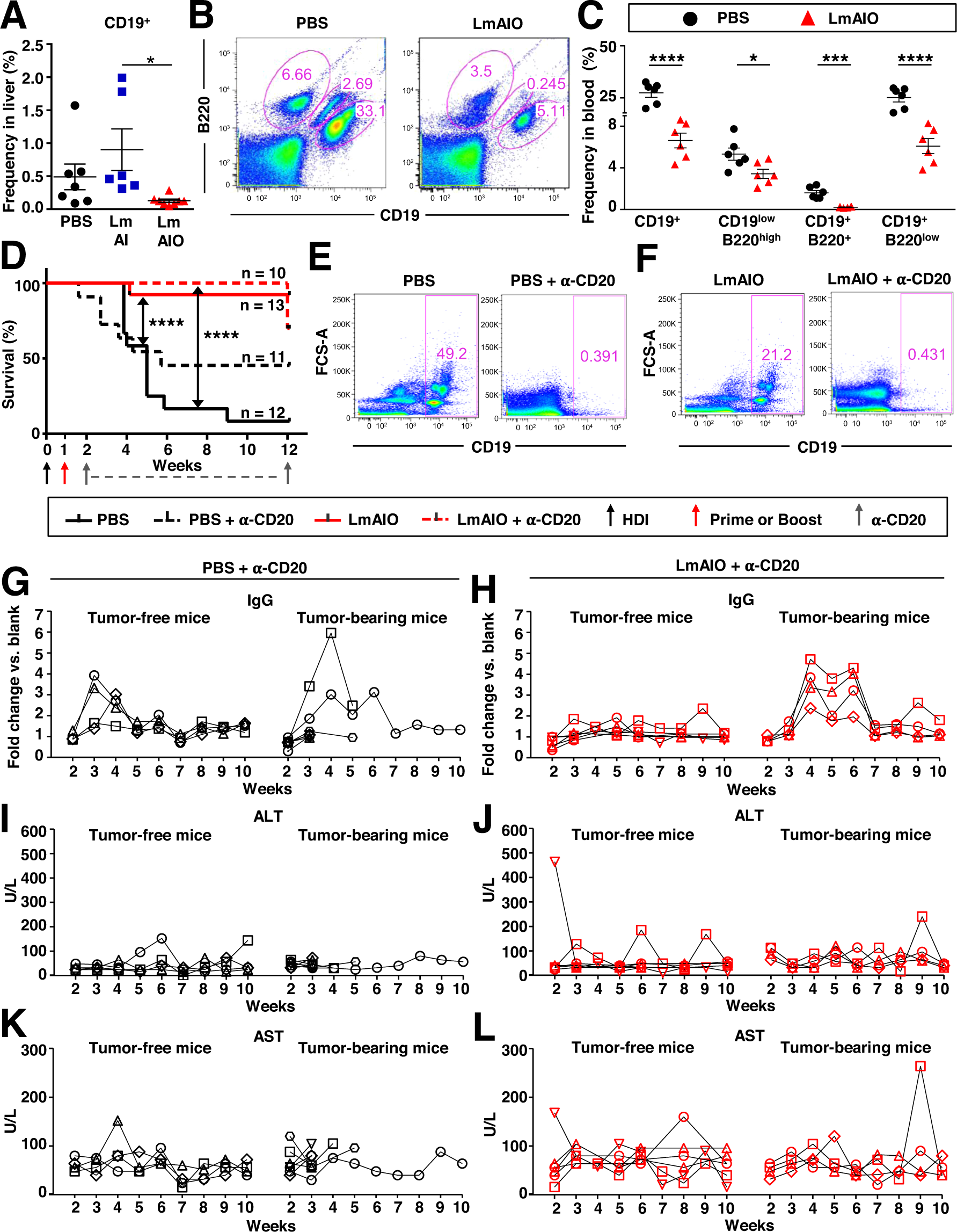 Fig. 7: Vaccination with live-attenuated LmAIO strongly reduces frequencies of B lymphocytes in situ in HCC settings, whereas B cell-depletion does not yield any survival benefit.