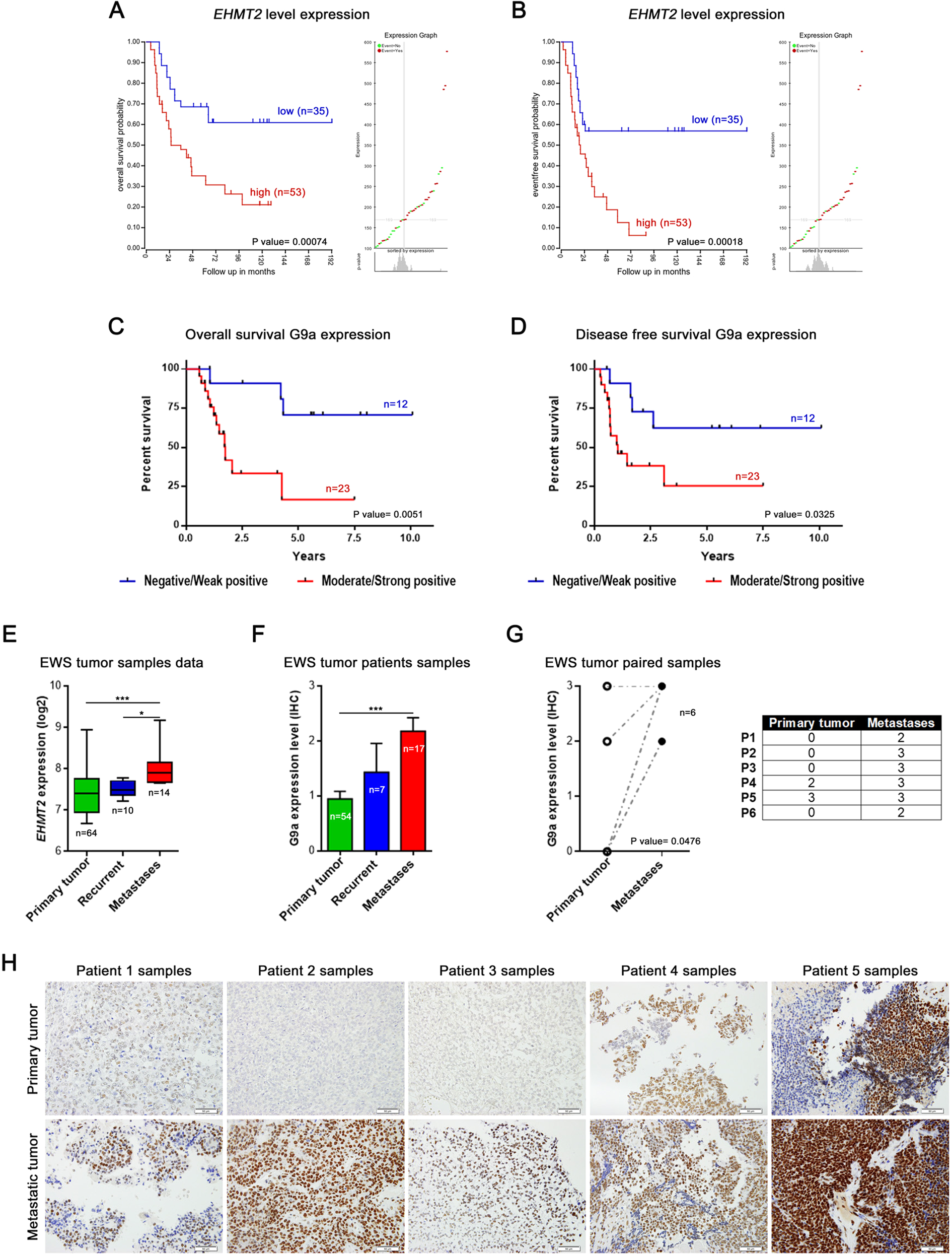 Selective histone methyltransferase G9a inhibition reduces metastatic  development of Ewing sarcoma through the epigenetic regulation of NEU1 |  Oncogene