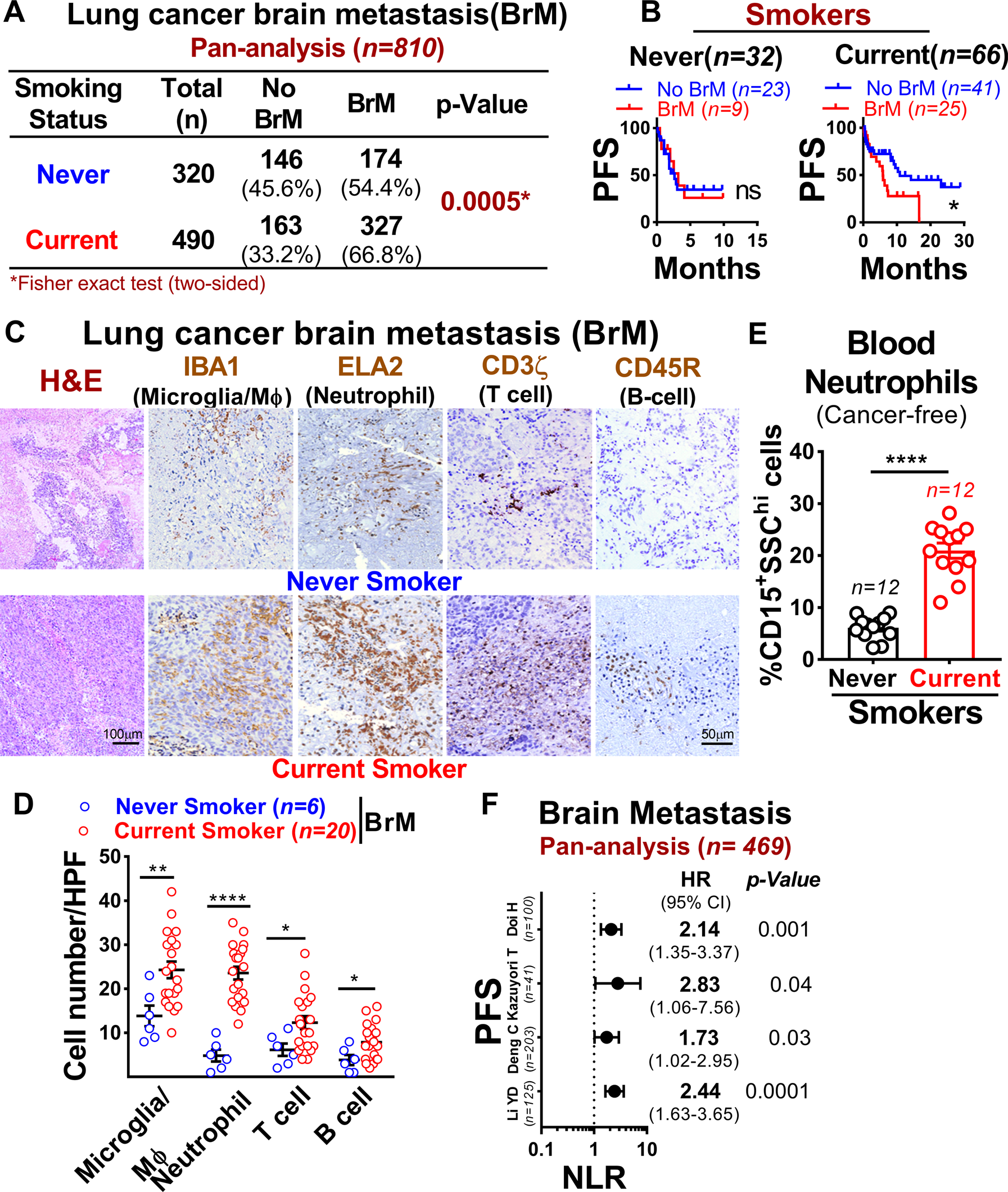 RETRACTED ARTICLE: Exosomal miR-4466 from nicotine-activated neutrophils  promotes tumor cell stemness and metabolism in lung cancer metastasis