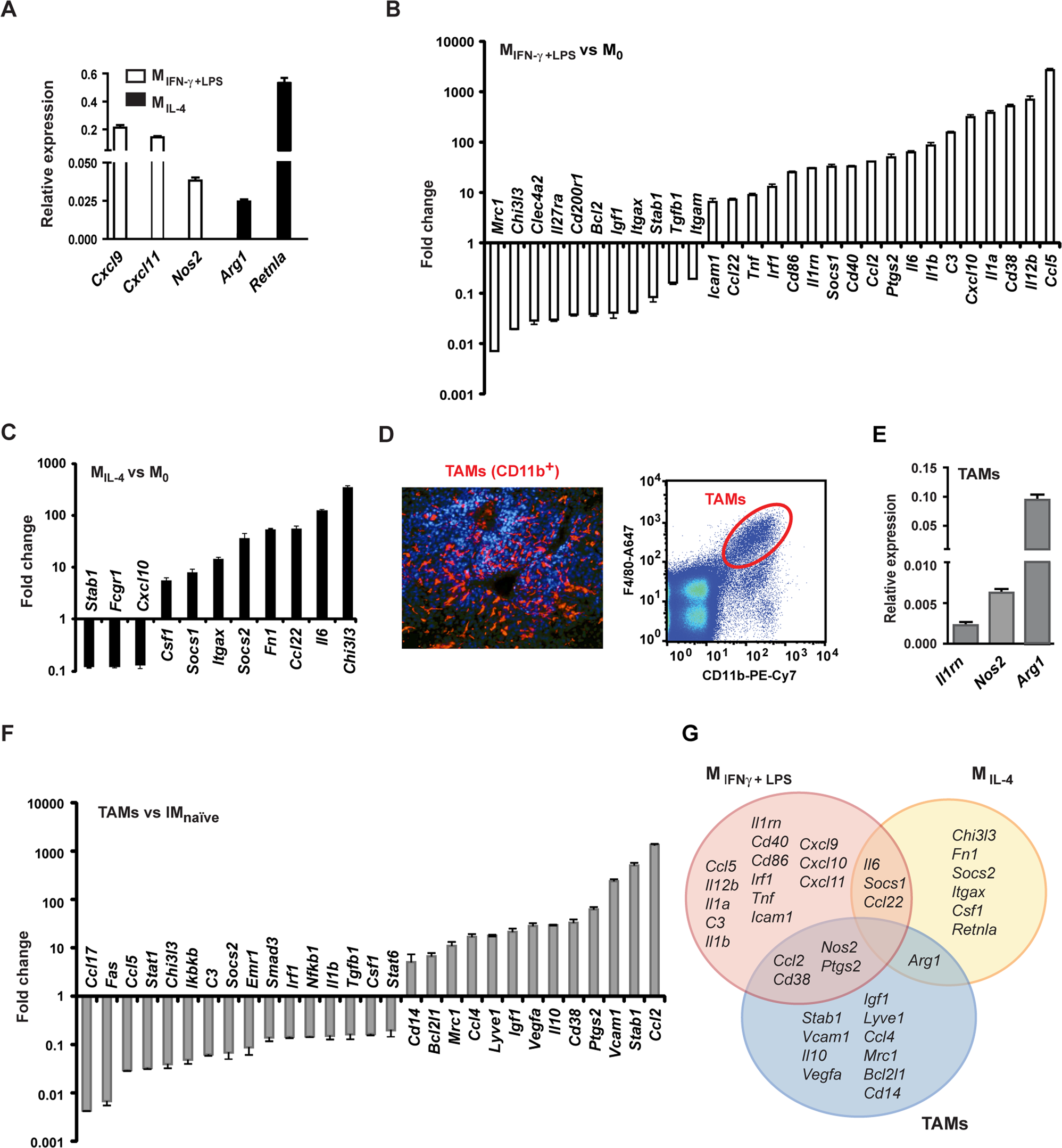 Evolving polarisation of infiltrating and alveolar macrophages in the lung  during metastatic progression of melanoma suggests CCR1 as a therapeutic  target | Oncogene