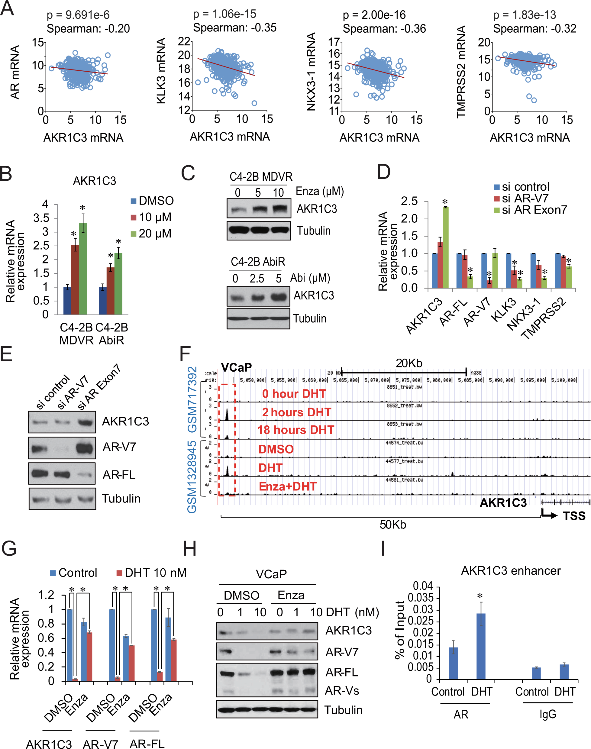 Novel inhibition of AKR1C3 and androgen receptor axis by PTUPB synergizes  enzalutamide treatment in advanced prostate cancer | Oncogene