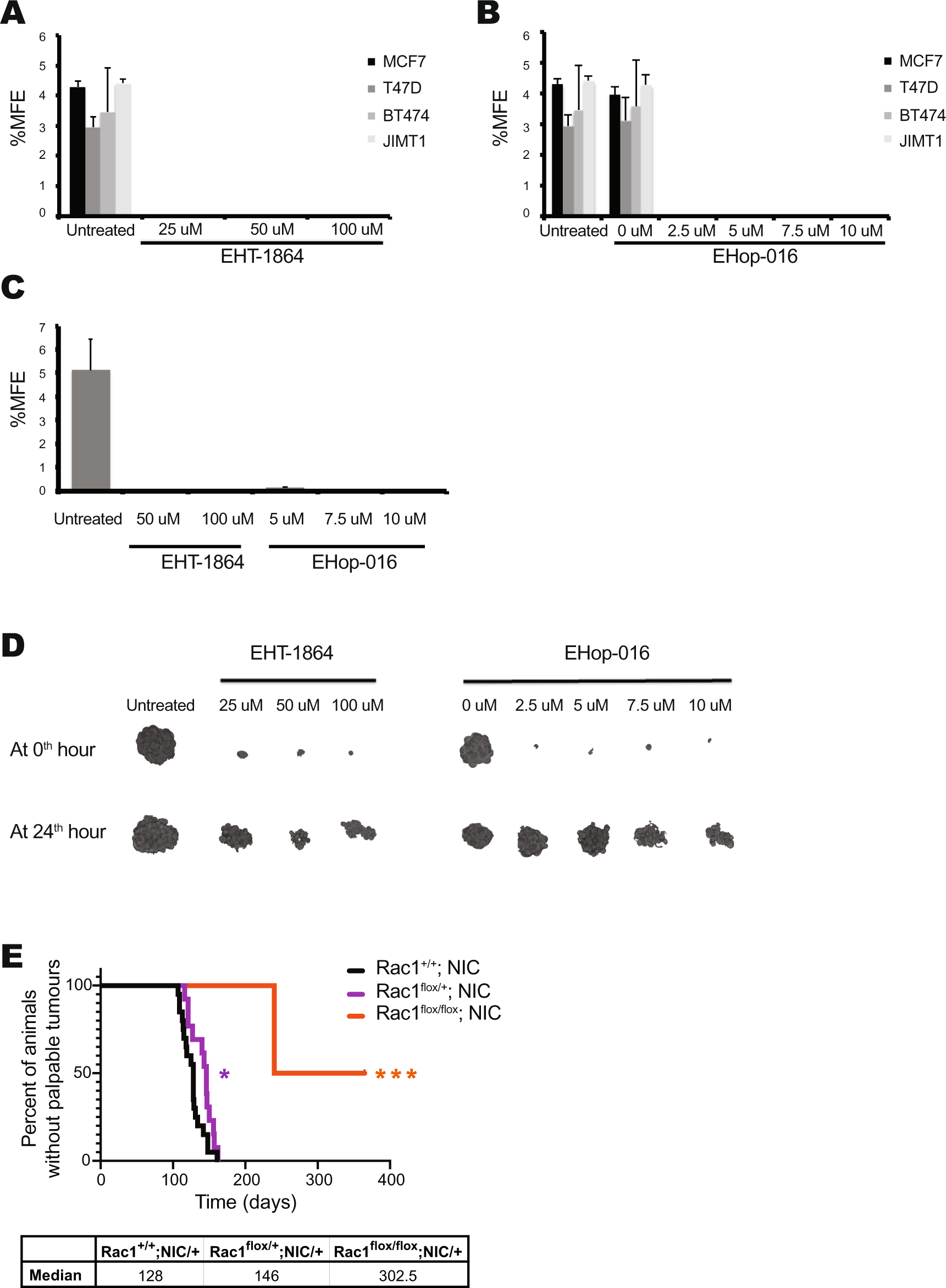 Fig. 1: RAC activity is required for BCSCs in vitro and breast tumorigenesis in vivo.