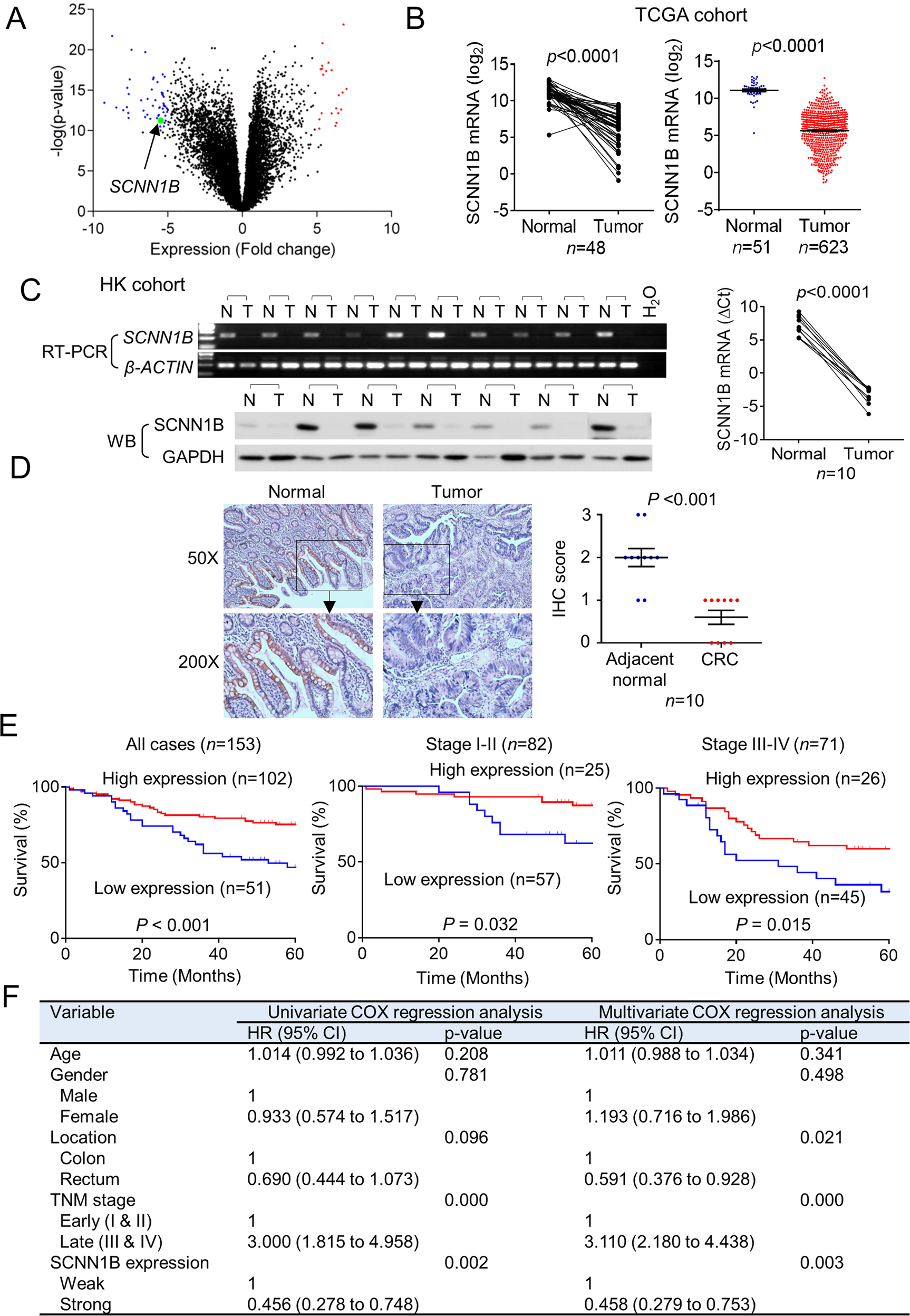 Staph's activation of blood clotting, VUMC Reporter