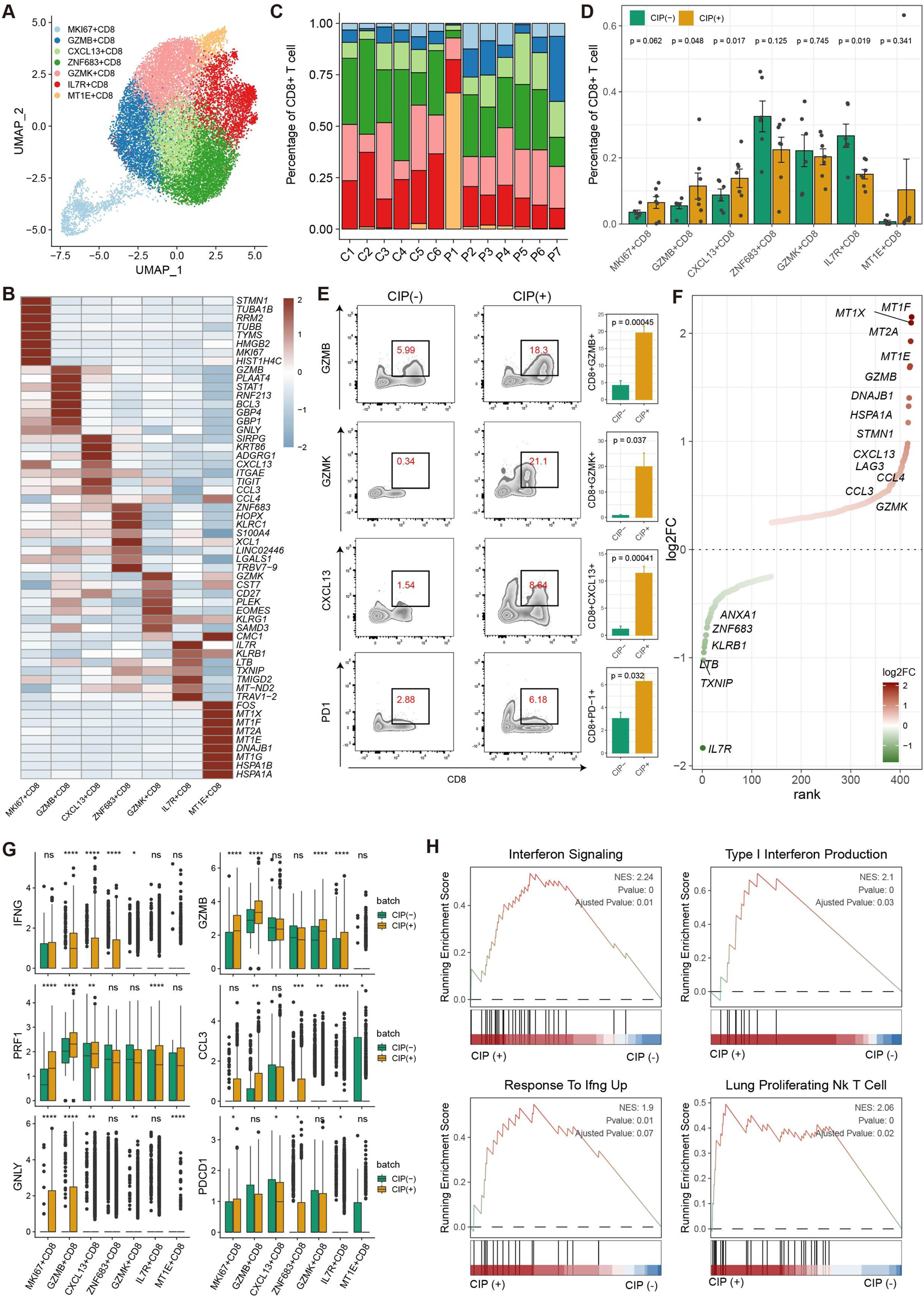 Fig. 2: CIP associated CD8+ T Cell with cytotoxic effector programs.