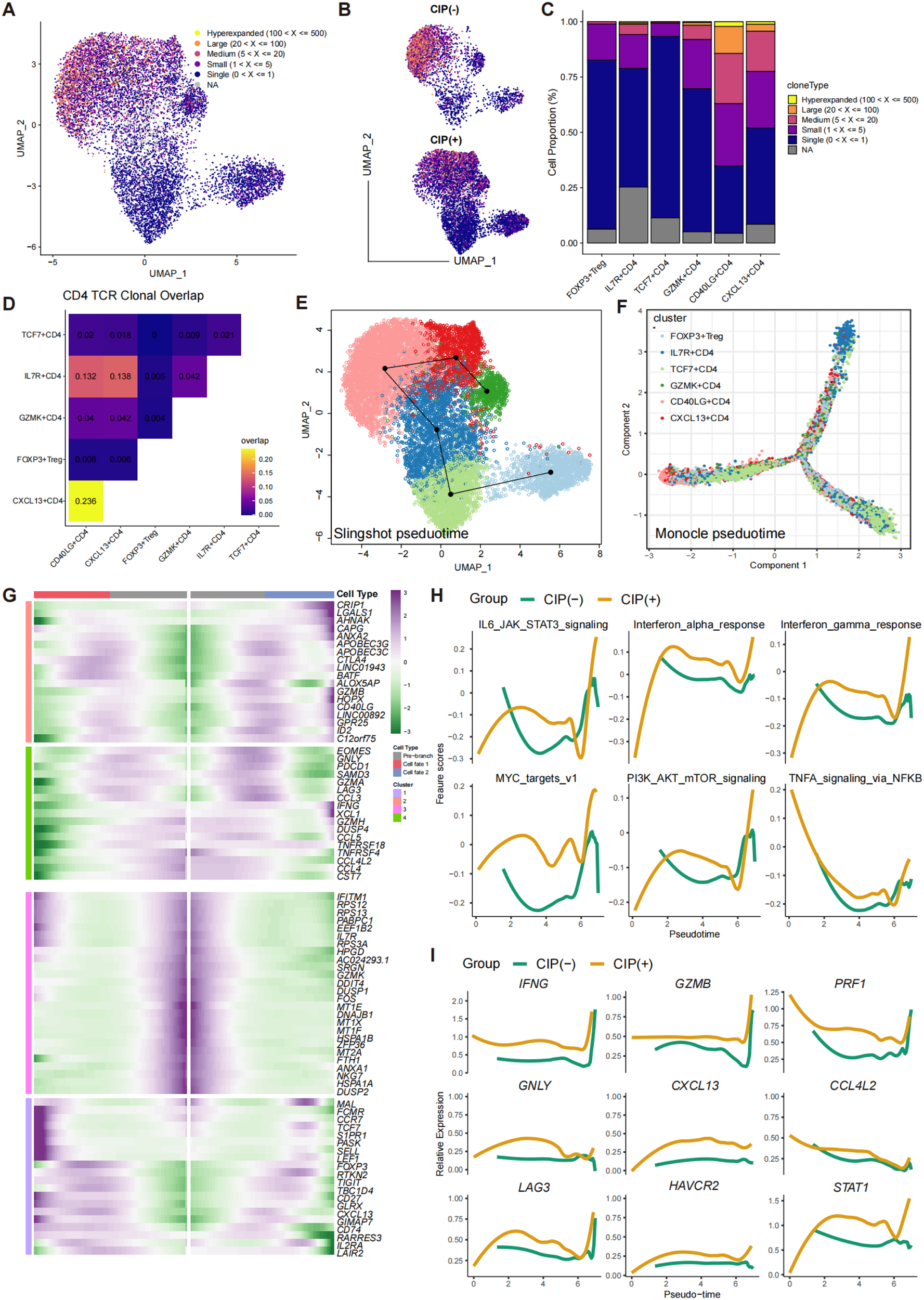 Fig. 5: TCR and trajectory analysis of CD4 T cell subclusters in CIP+ and CIP− samples.