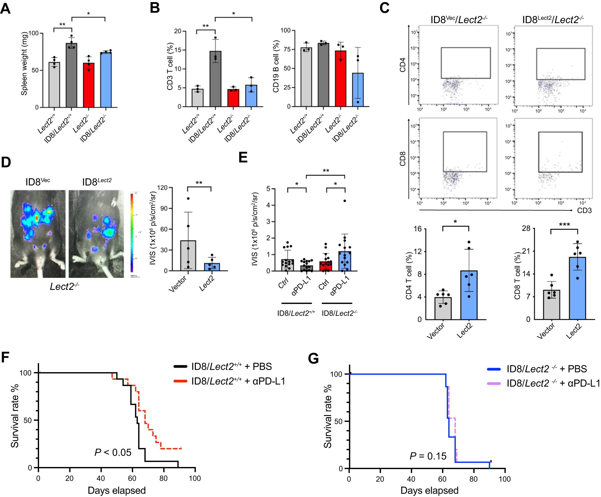 Fig. 8: Reconstitution of Lect2 expression restores anti-tumor immunity.