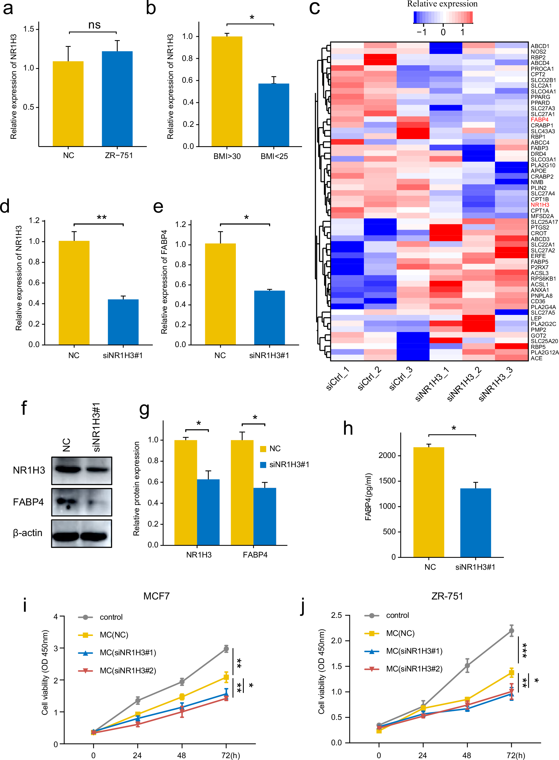 Fig. 4: The biological function of NR1H3 in macrophages.