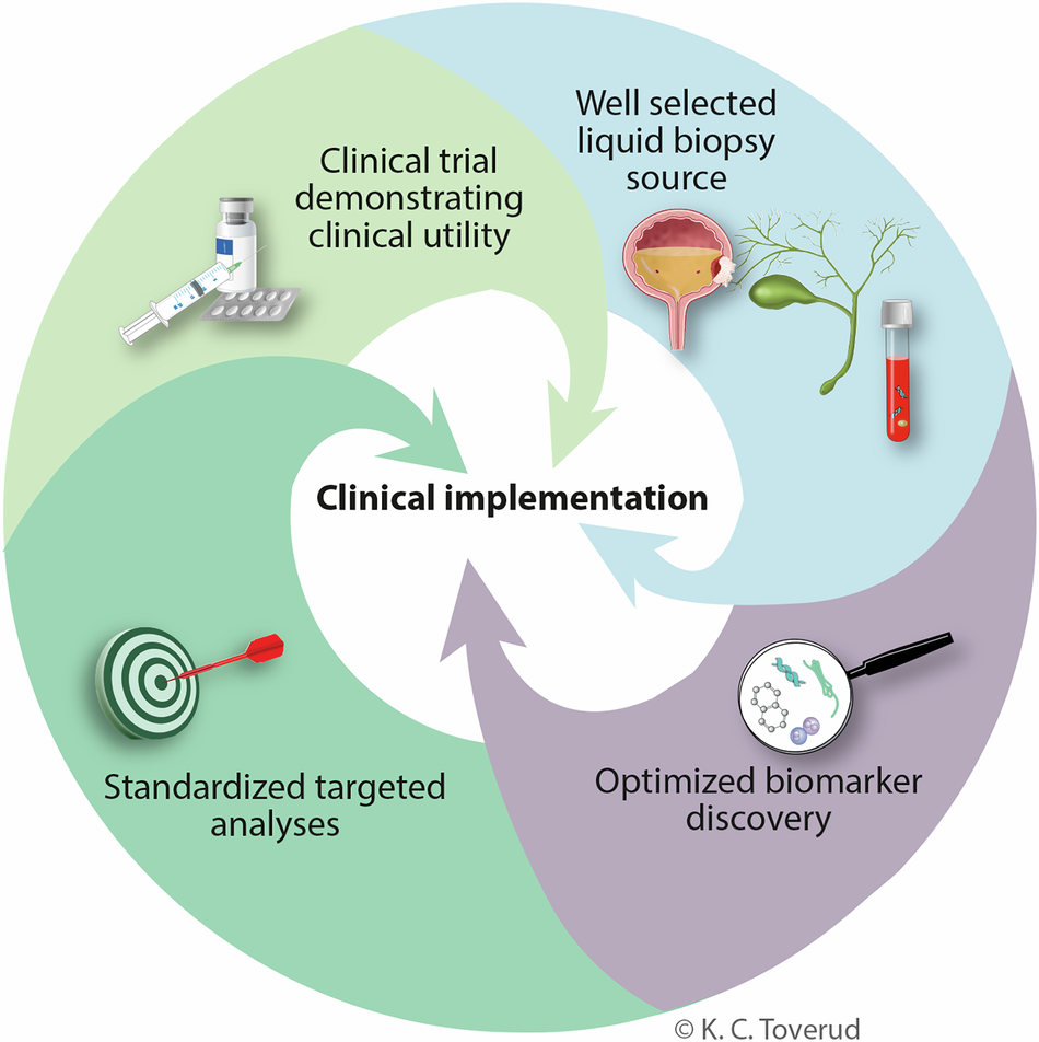Fig. 2: Key elements for successful clinical implementation of DNA methylation biomarkers in liquid biopsies.