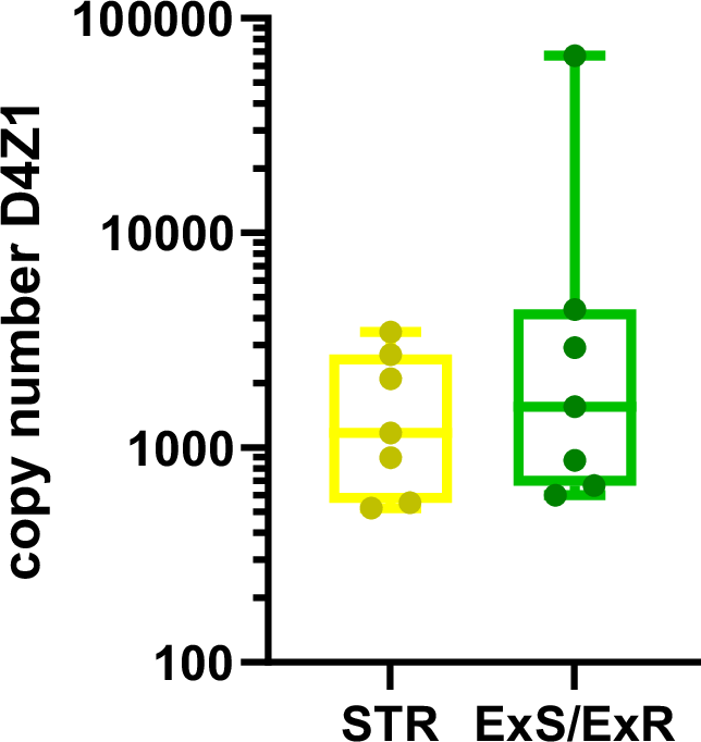Fig. 5: Digital PCR detection of chromosome 4 centromere copy number (C4CCN).