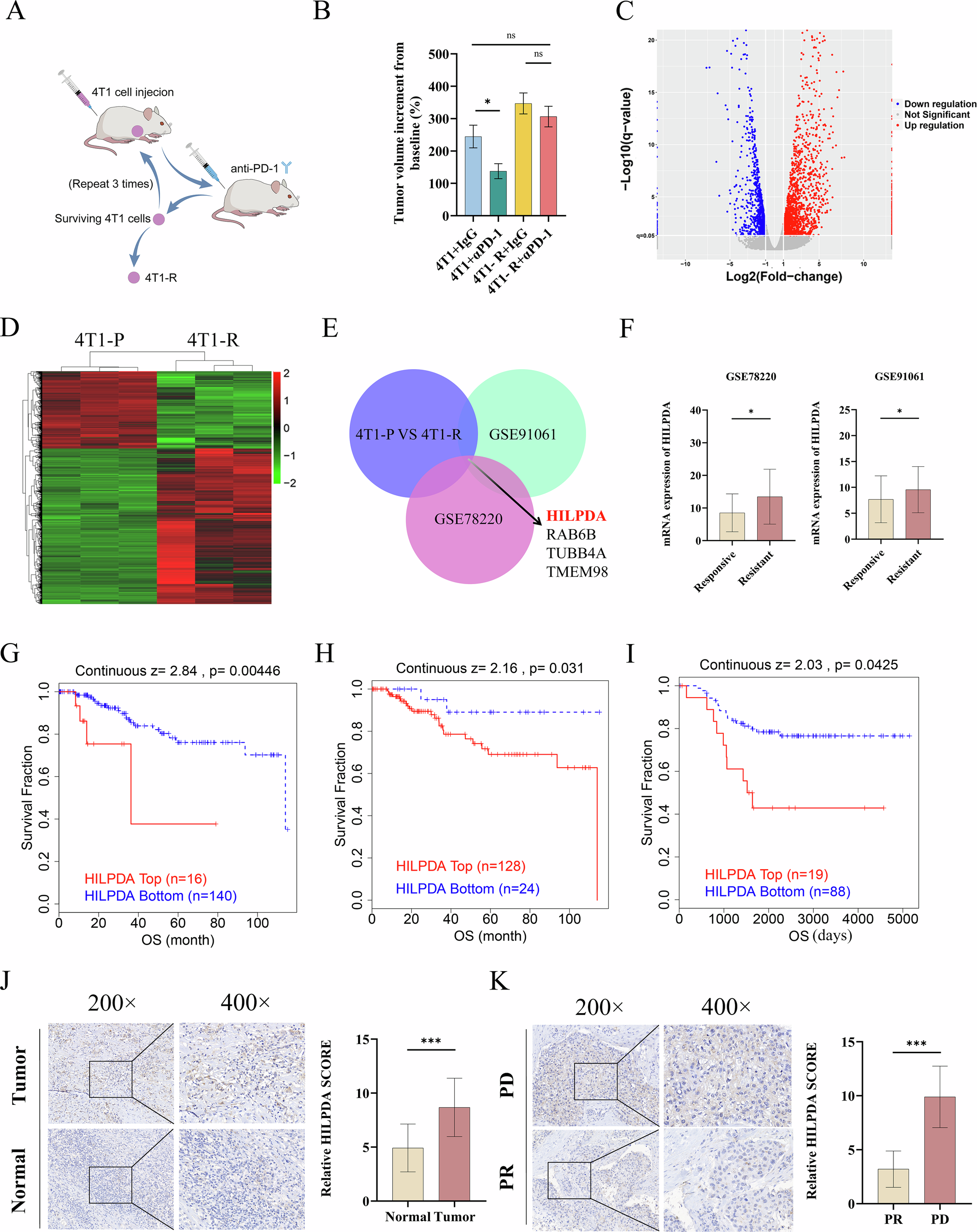 Fig. 1: The HILPDA is upregulated in PD-1–resistant tumors and is correlated with poor prognosis.