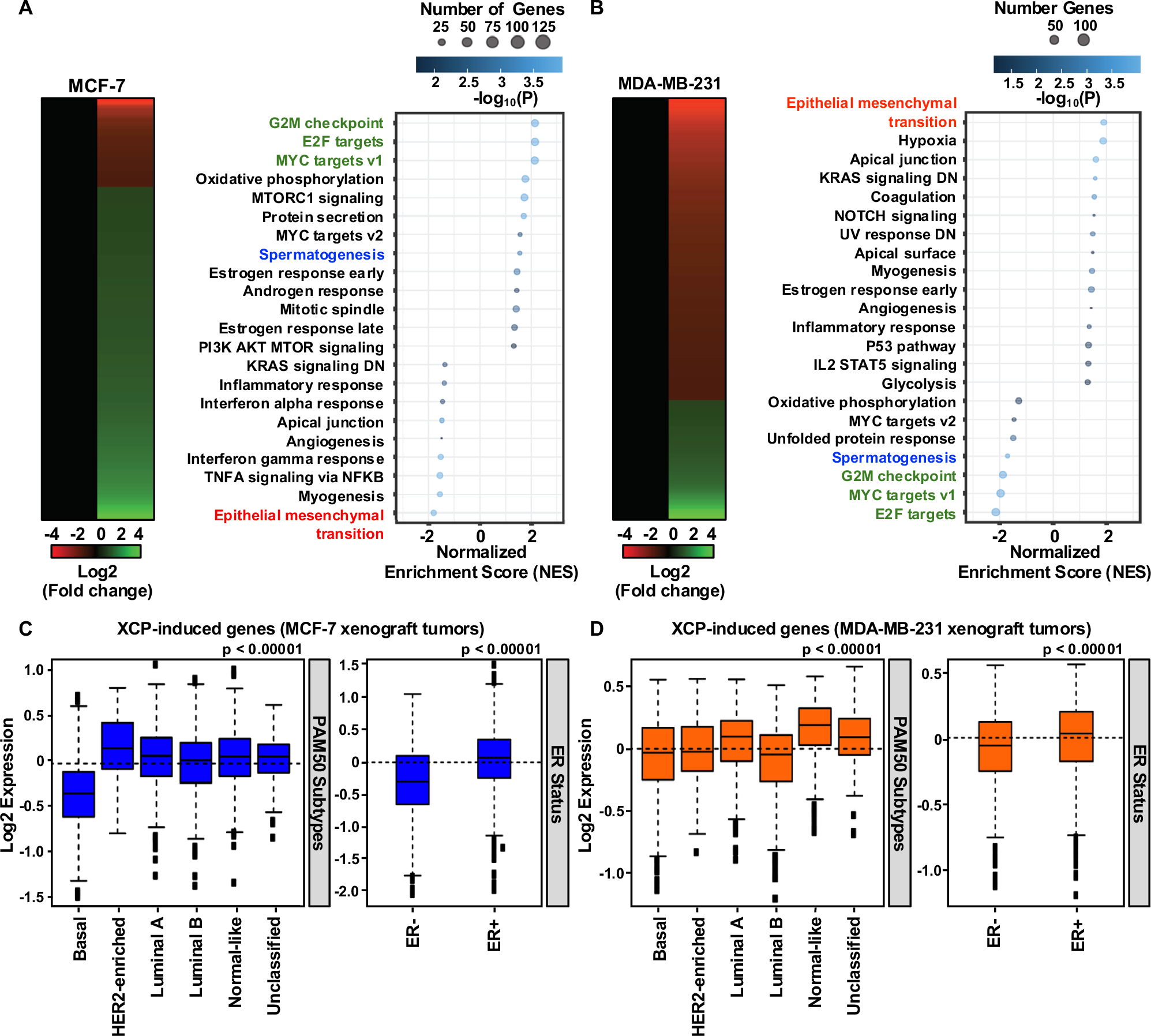 Fig. 4: XCP modulates gene expression and regulates cellular pathways in a context-dependent manner.