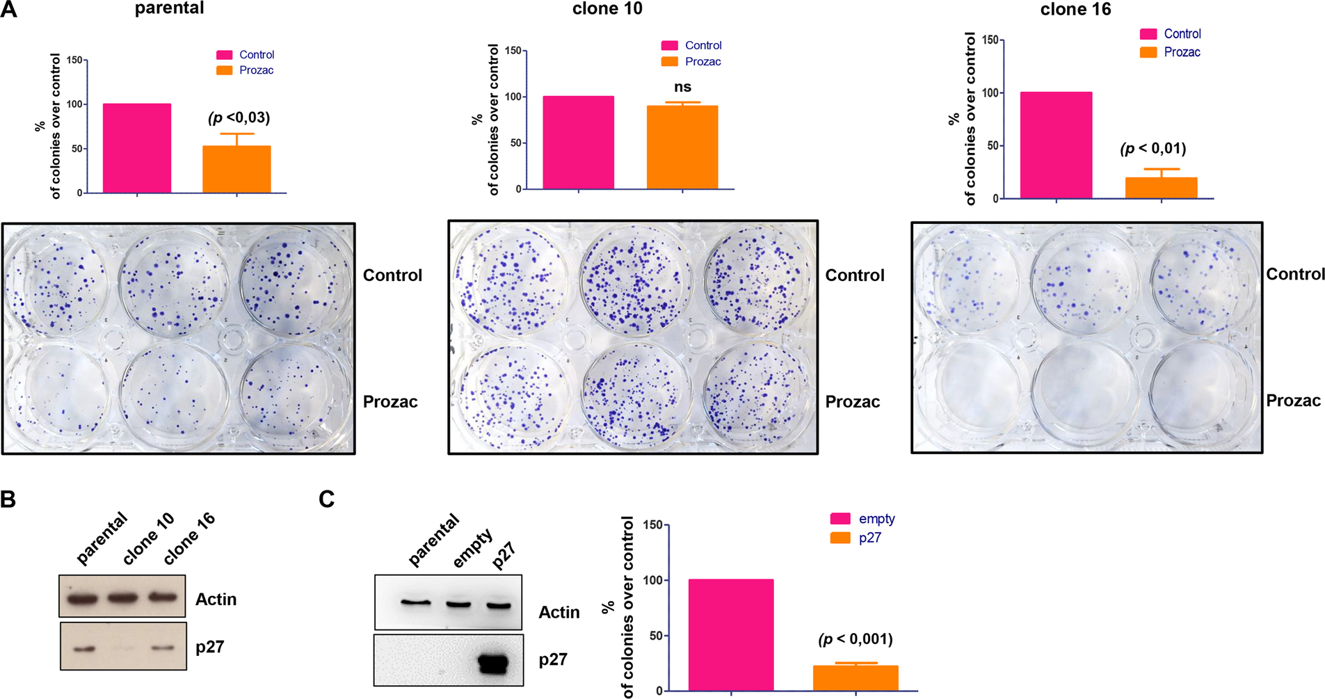 Fig. 3: Crispr/cas9 deletion of the CDKN1B gene induces resistance to the anticancer effect of Prozac.