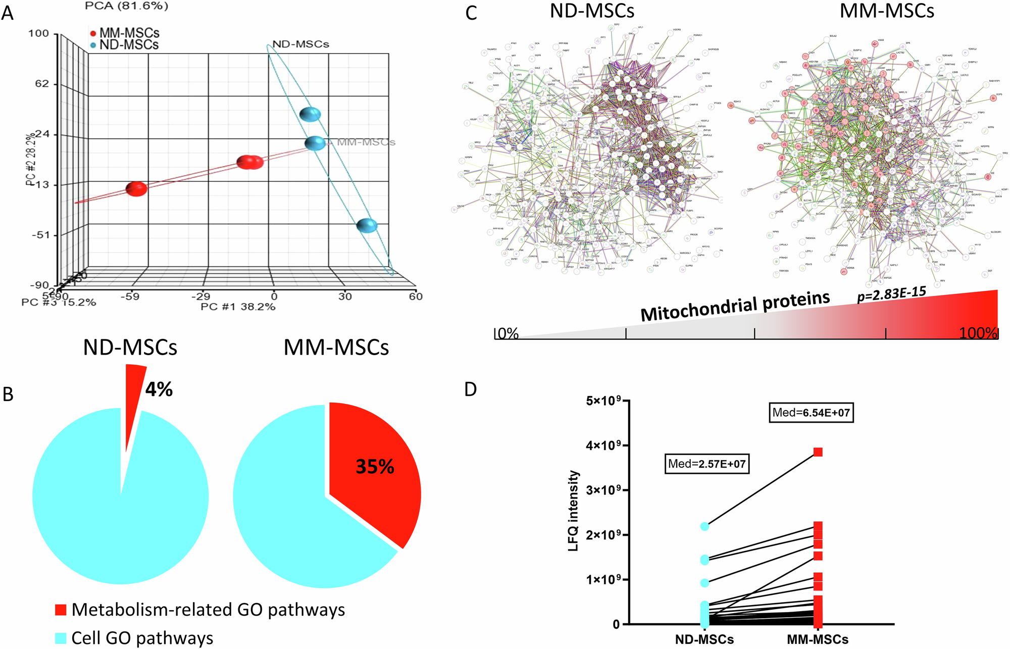 Fig. 1: Mass spectrometry analysis of MM-MSCs demonstrated increase in mitochondrial-related metabolic pathways and proteins.