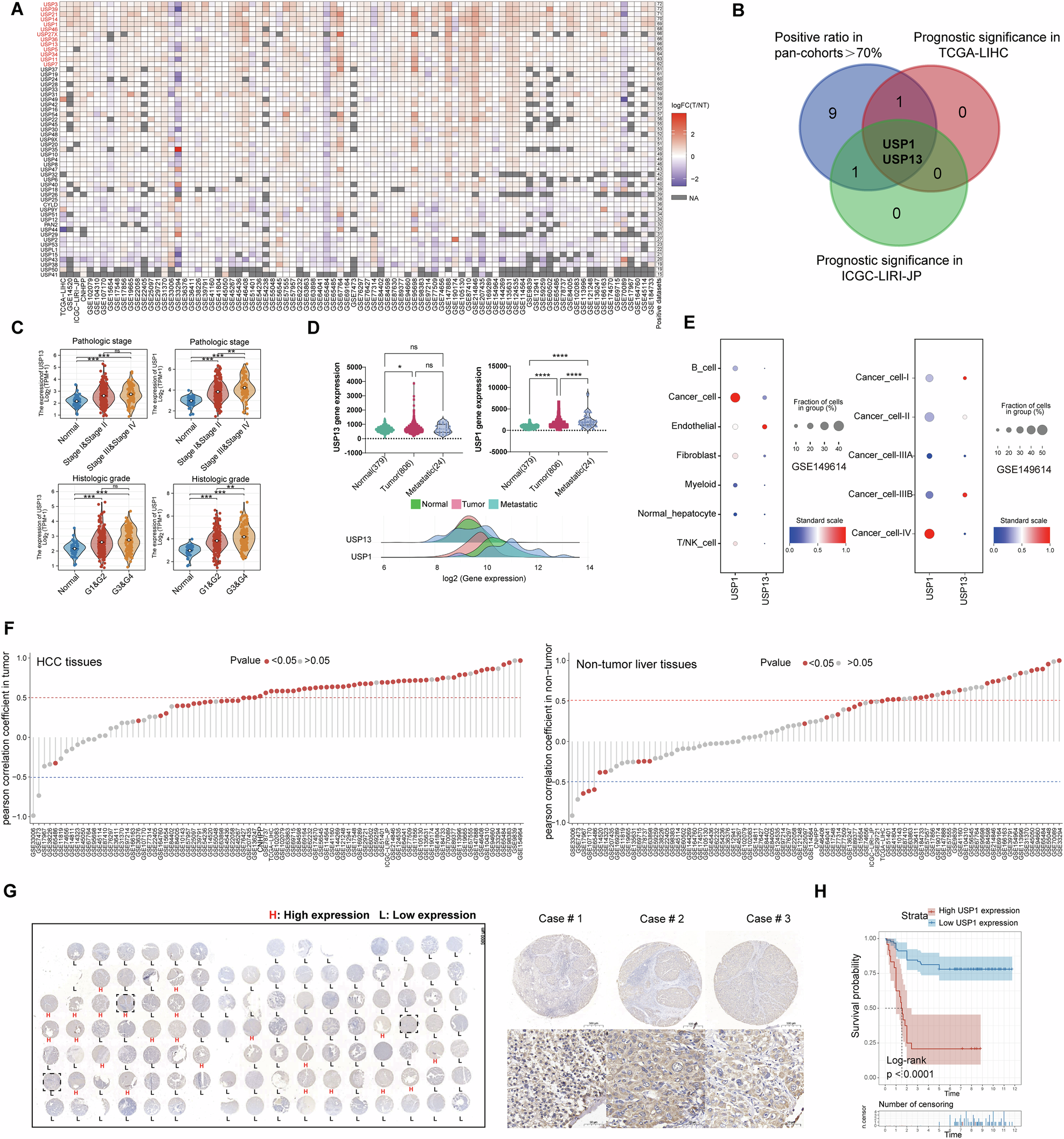 Fig. 1: USP1 is a driver gene for HCC.