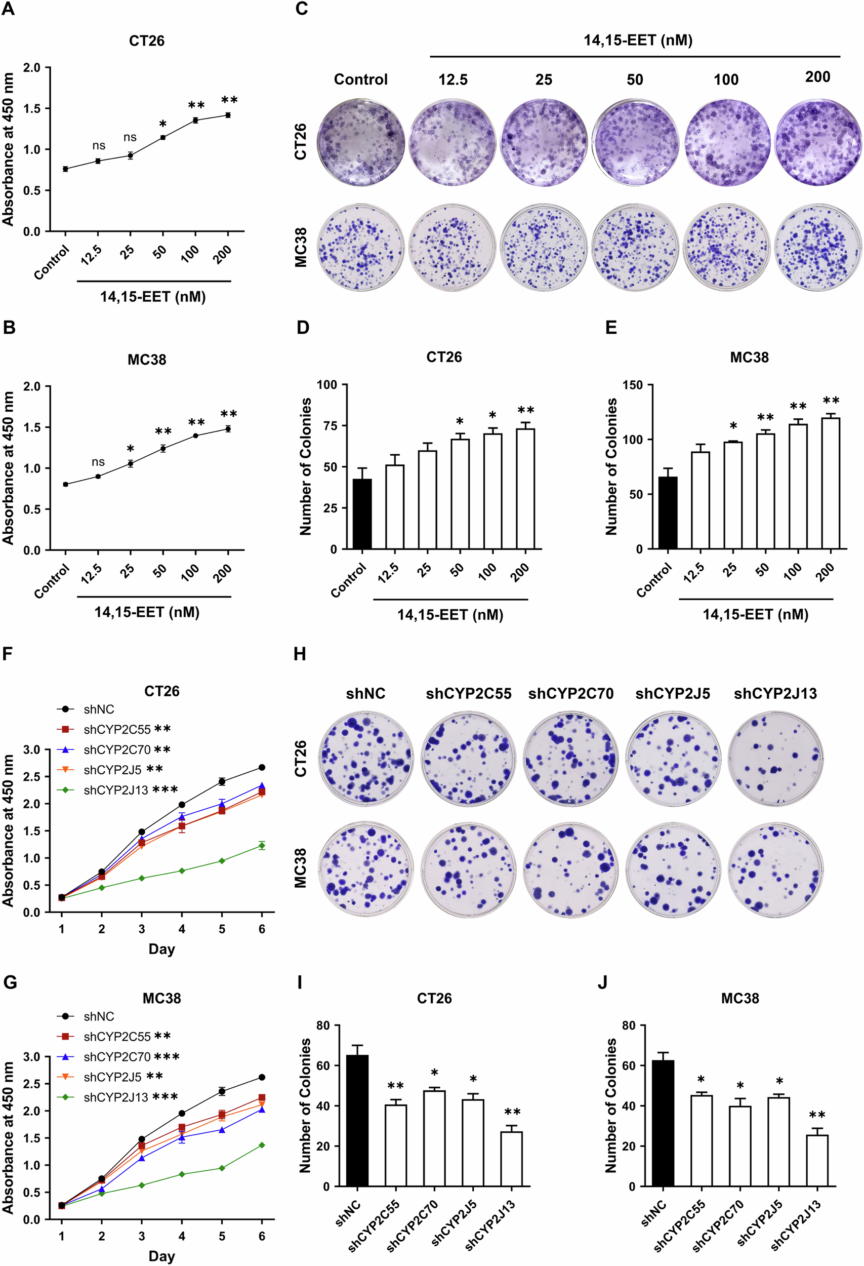 Fig. 4: 14, 15-EET contribute to proliferation of colorectal cancer in vitro.