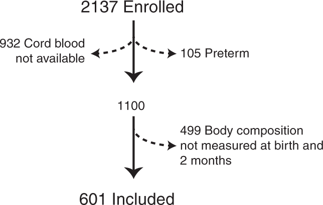 The Relationship Between Igf I And Ii Concentrations And