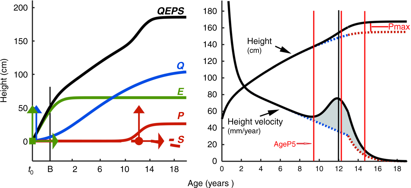 The Pubertal Growth Spurt Is Diminished In Children With Severe Obesity Pediatric Research