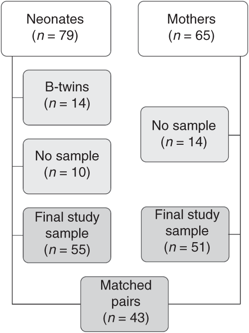 Fig. 1: Flowchart of the study population exclusion process and matched newborn-mother pairs.