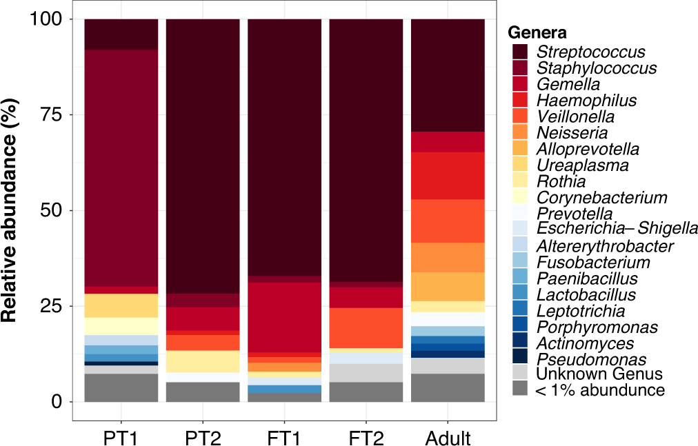 Fig. 3: Staphylococcus dominates the PT1 samples, but taxonomic composition is restored over time for preterm infants.