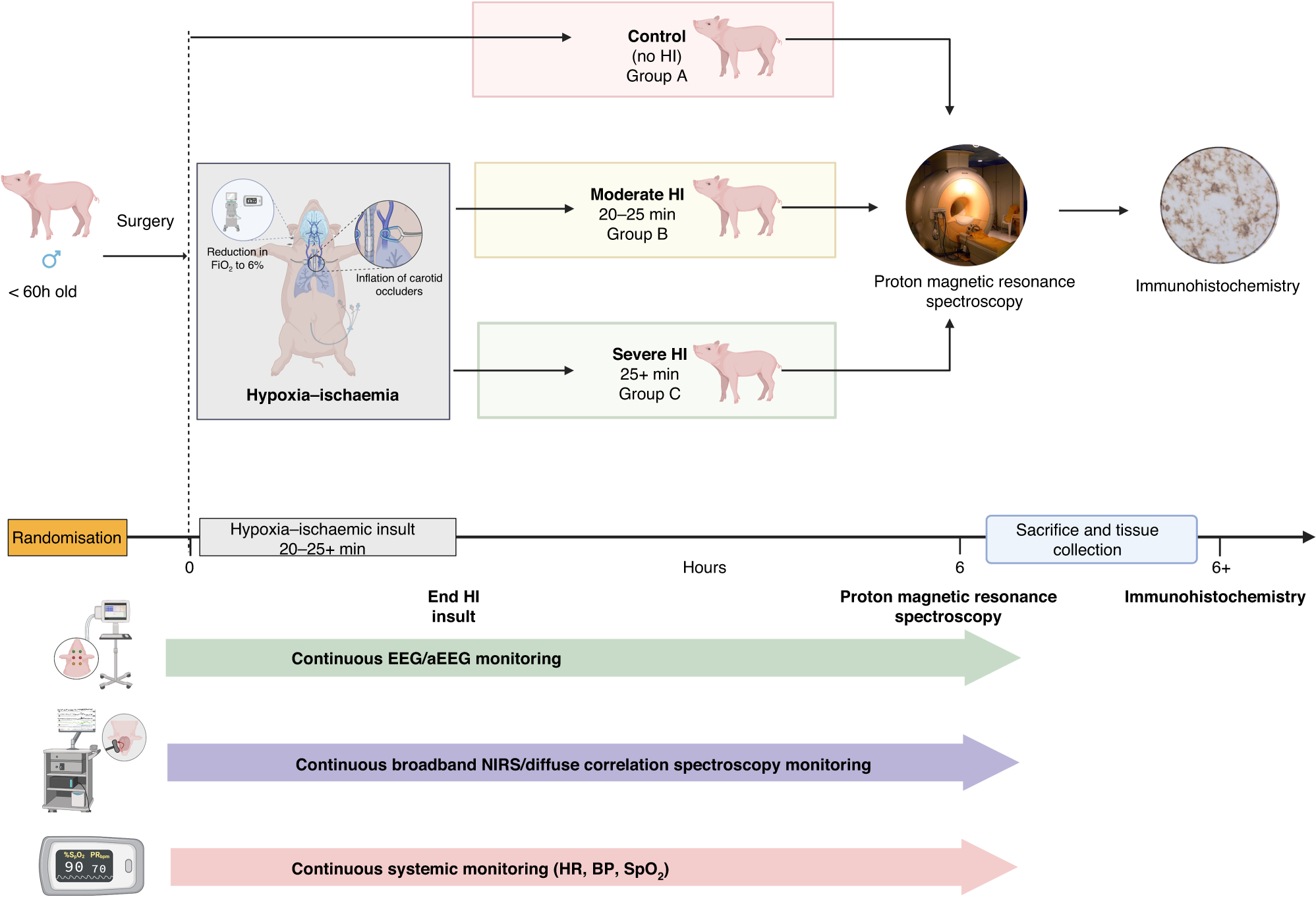 Fig. 1: Summary of the experimental protocol.