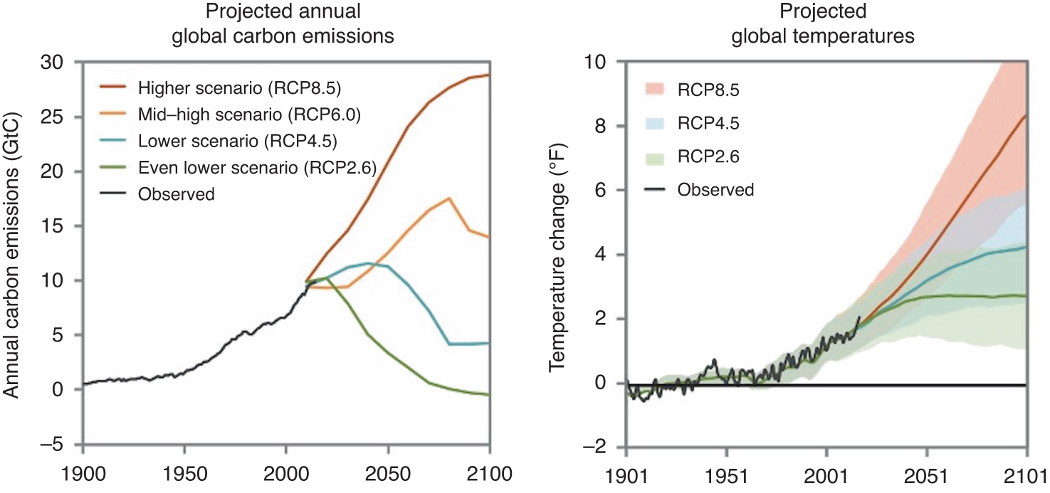 Bear attacks in Japan are at a record high. Climate change and an aging  population are making the problem worse