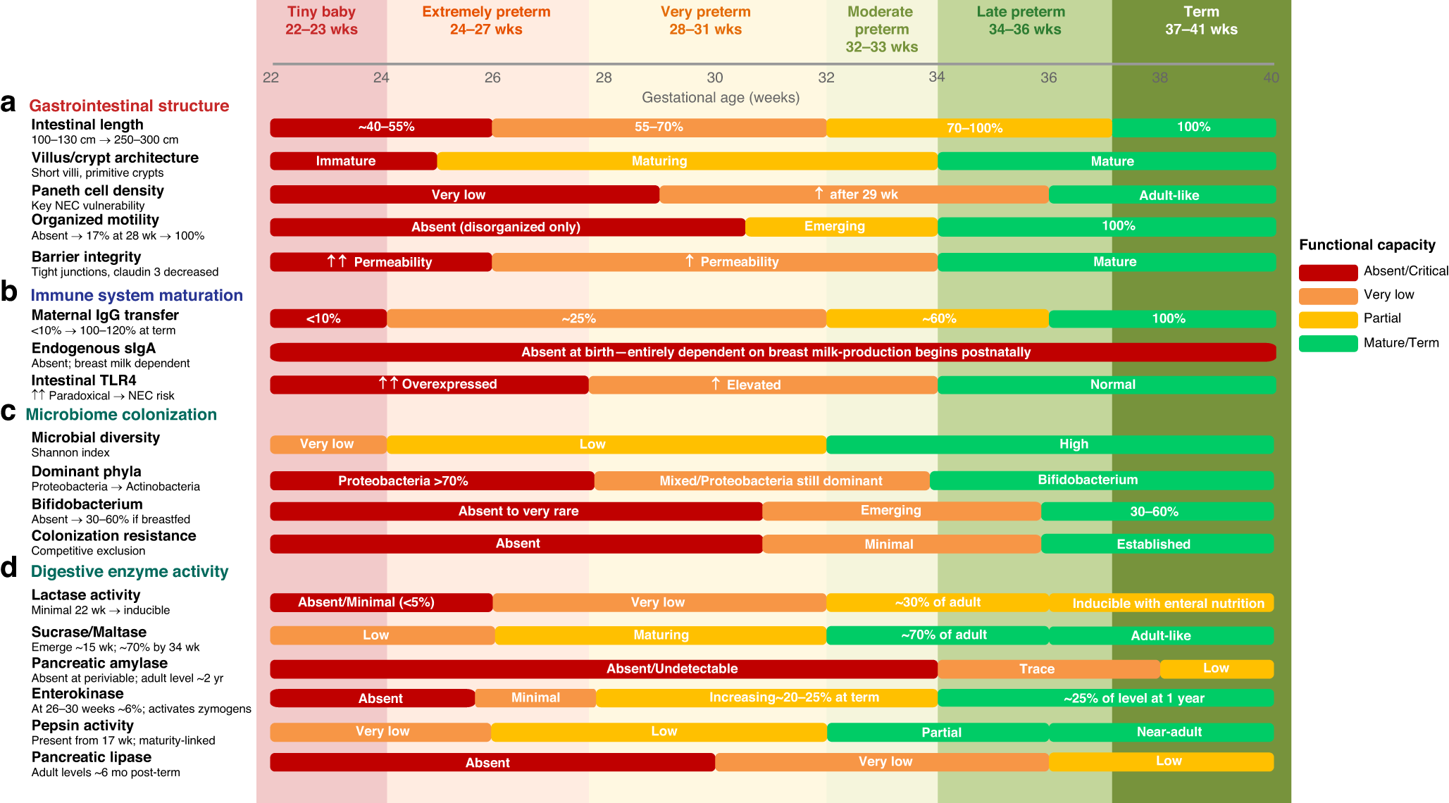 Nutritional management at 22–23 weeks gestational age: evidence and knowledge gaps