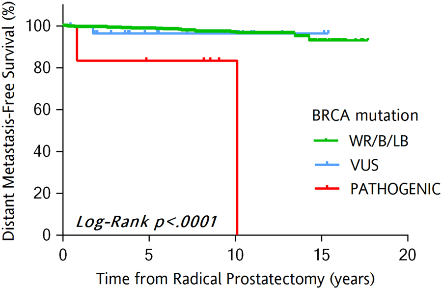 Increased Frequency Of Germline Brca2 Mutations Associates With Prostate Cancer Metastasis In A Racially Diverse Patient Population Prostate Cancer And Prostatic Diseases