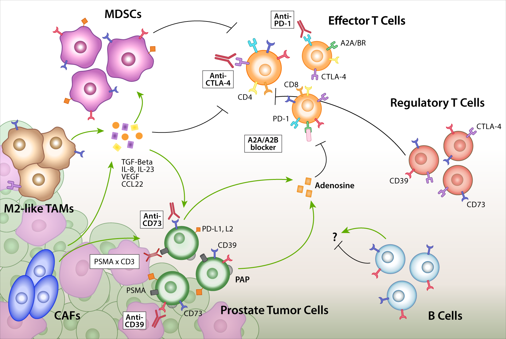 How To Turn Up The Heat On The Cold Immune Microenvironment Of Metastatic Prostate Cancer Prostate Cancer And Prostatic Diseases