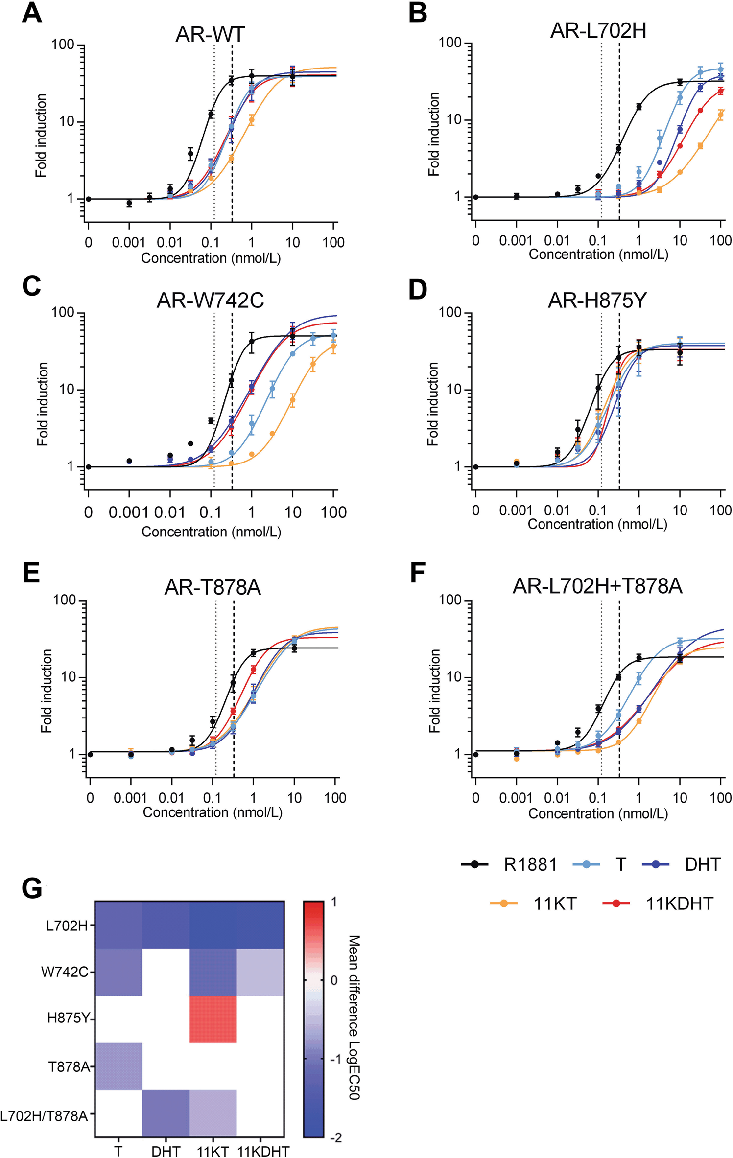Androgen receptor mutations modulate activation by 11-oxygenated androgens and glucocorticoids