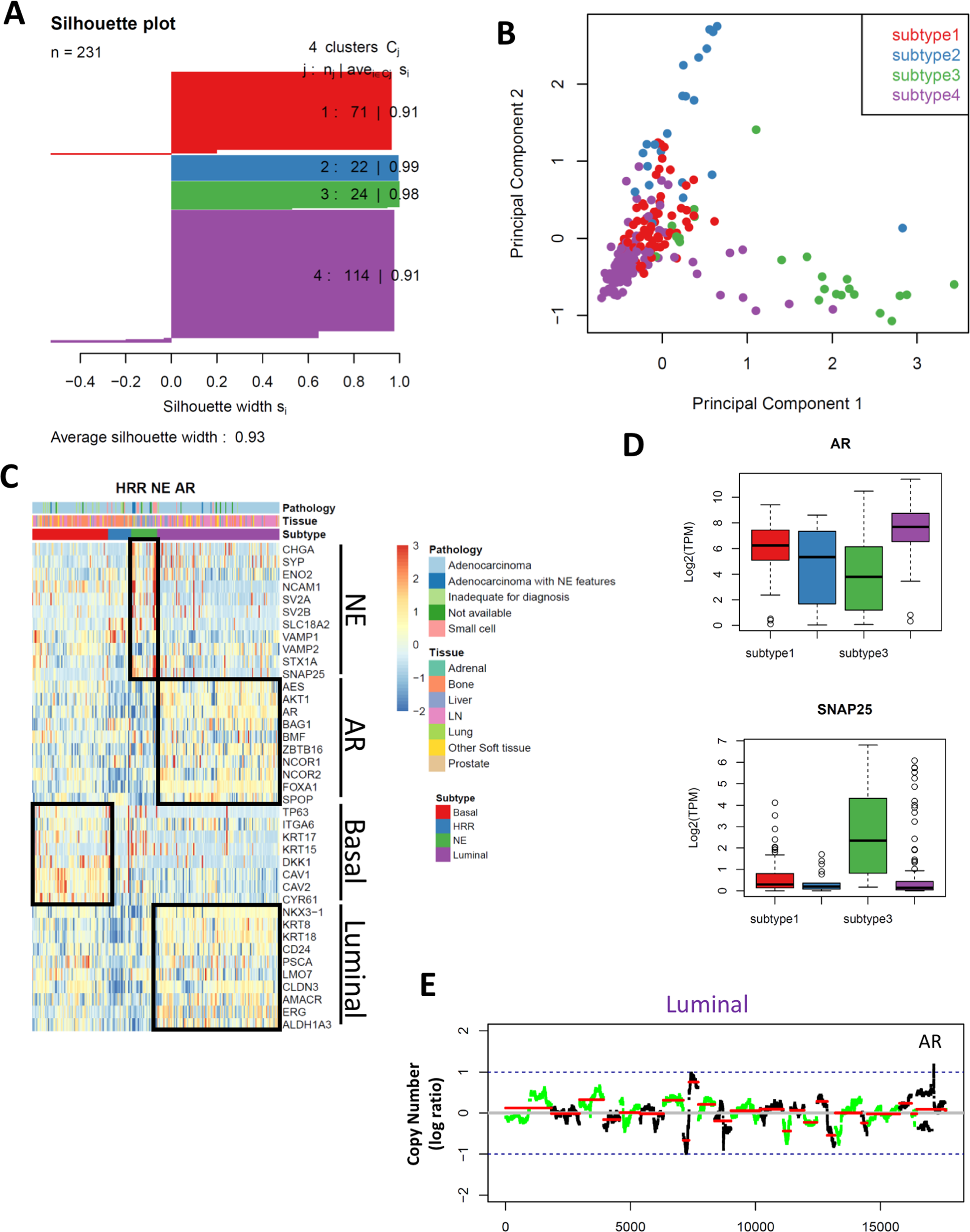 Nivolumab Plus Ipilimumab for Metastatic Castration-Resistant