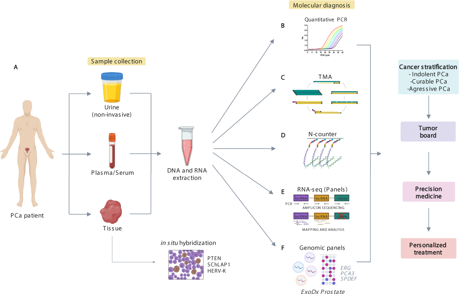 The promising role of new molecular biomarkers in prostate cancer: from  coding and non-coding genes to artificial intelligence approaches |  Prostate Cancer and Prostatic Diseases