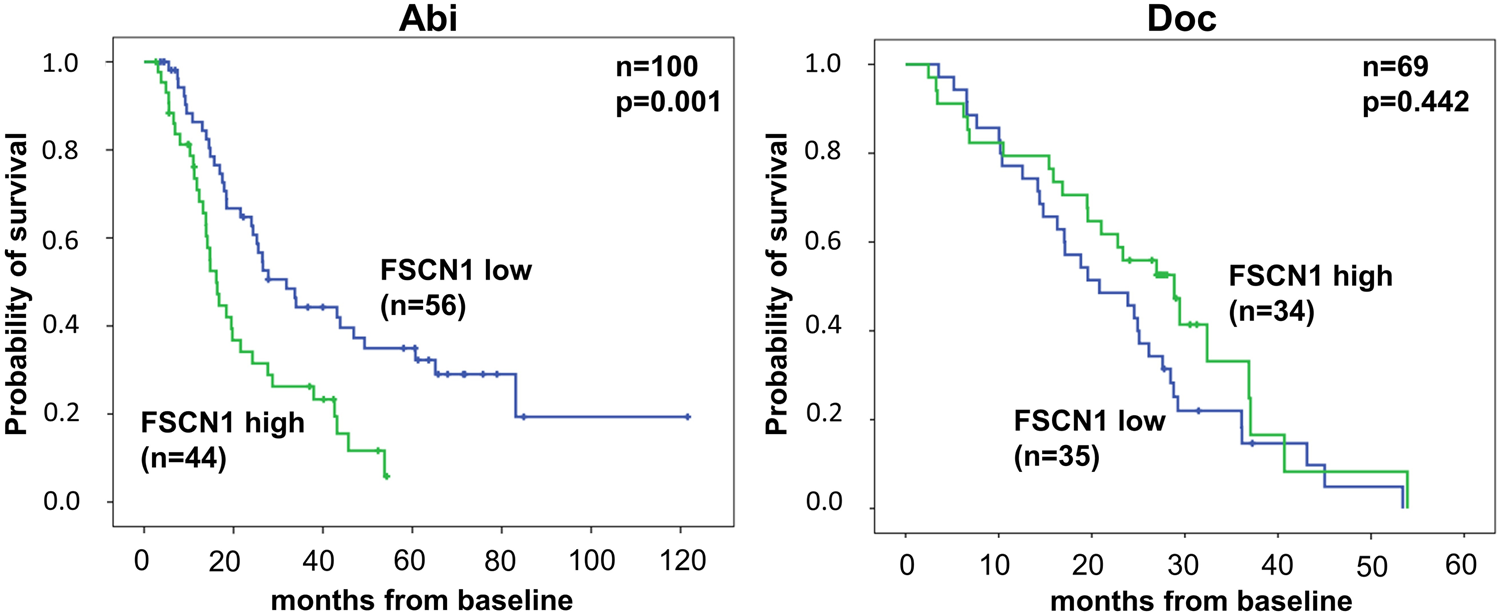 Fig. 2: Kaplan–Meier survival curves showed that elevated baseline FSCN1 levels are associated with poor OS in mCRPC men who underwent Abi therapy (left) (n = 100).