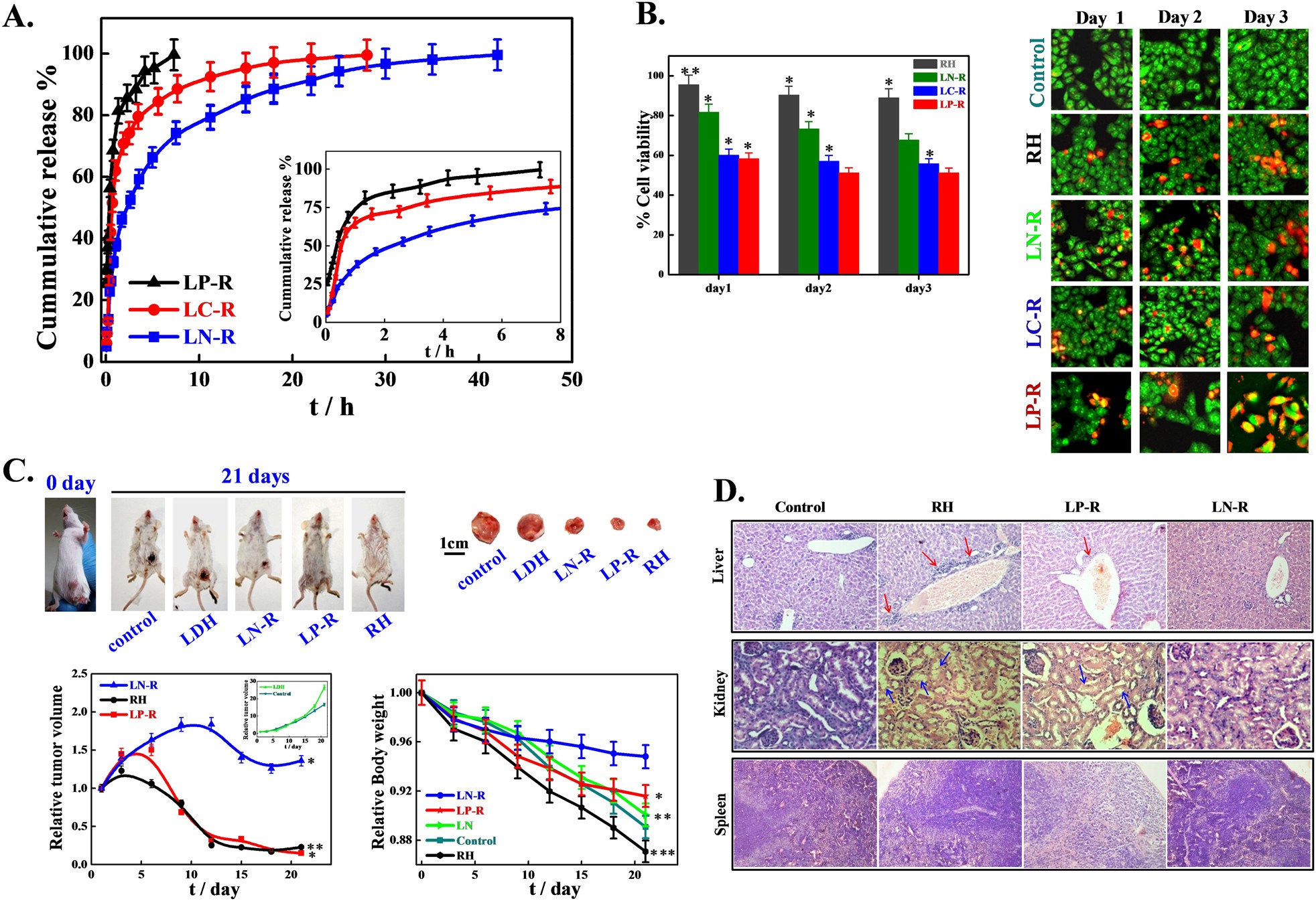 Stimulation–Inhibition of Protein Release from Alginate Hydrogels Using  Electrochemically Generated Local pH Changes