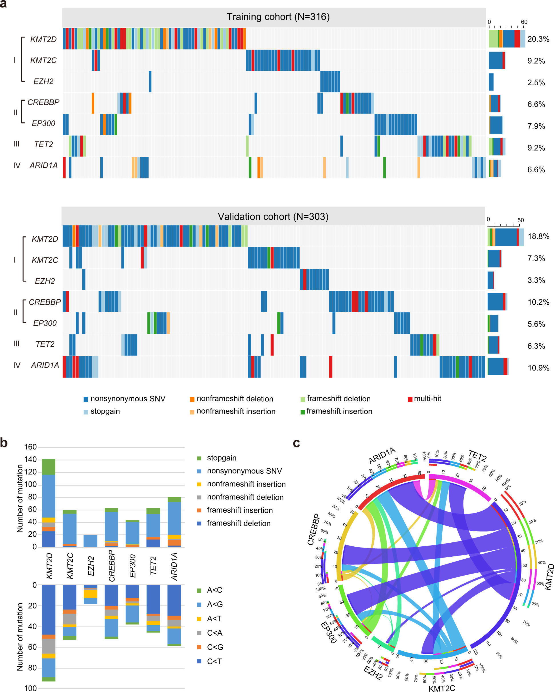 Identification of de novo EP300 and PLAU variants in a patient