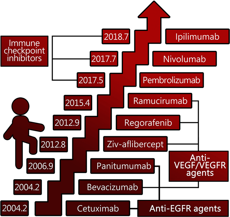 Comprehensive review of targeted therapy for colorectal cancer | Signal  Transduction and Targeted Therapy