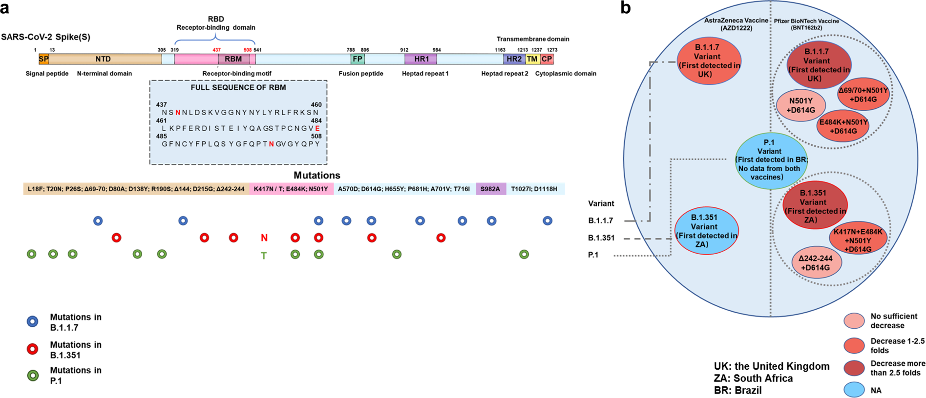 sars cov 2 variants a new challenge to convalescent serum and mrna vaccine neutralization efficiency signal transduction and targeted therapy