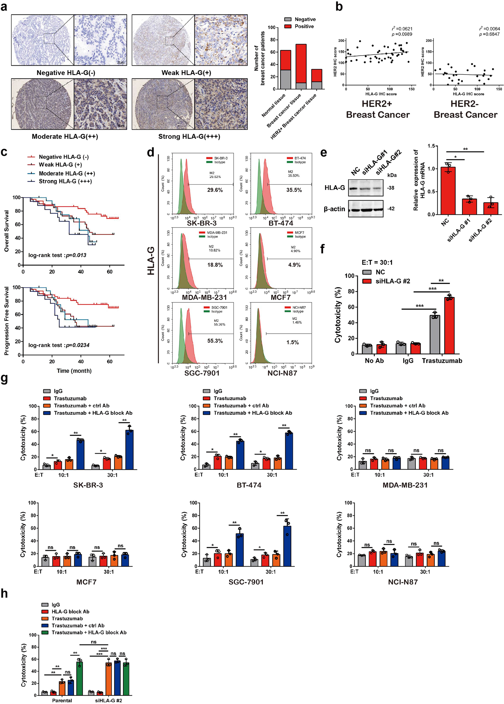 Interaction between HLA-G and NK cell receptor KIR2DL4 orchestrates  HER2-positive breast cancer resistance to trastuzumab | Signal Transduction  and Targeted Therapy