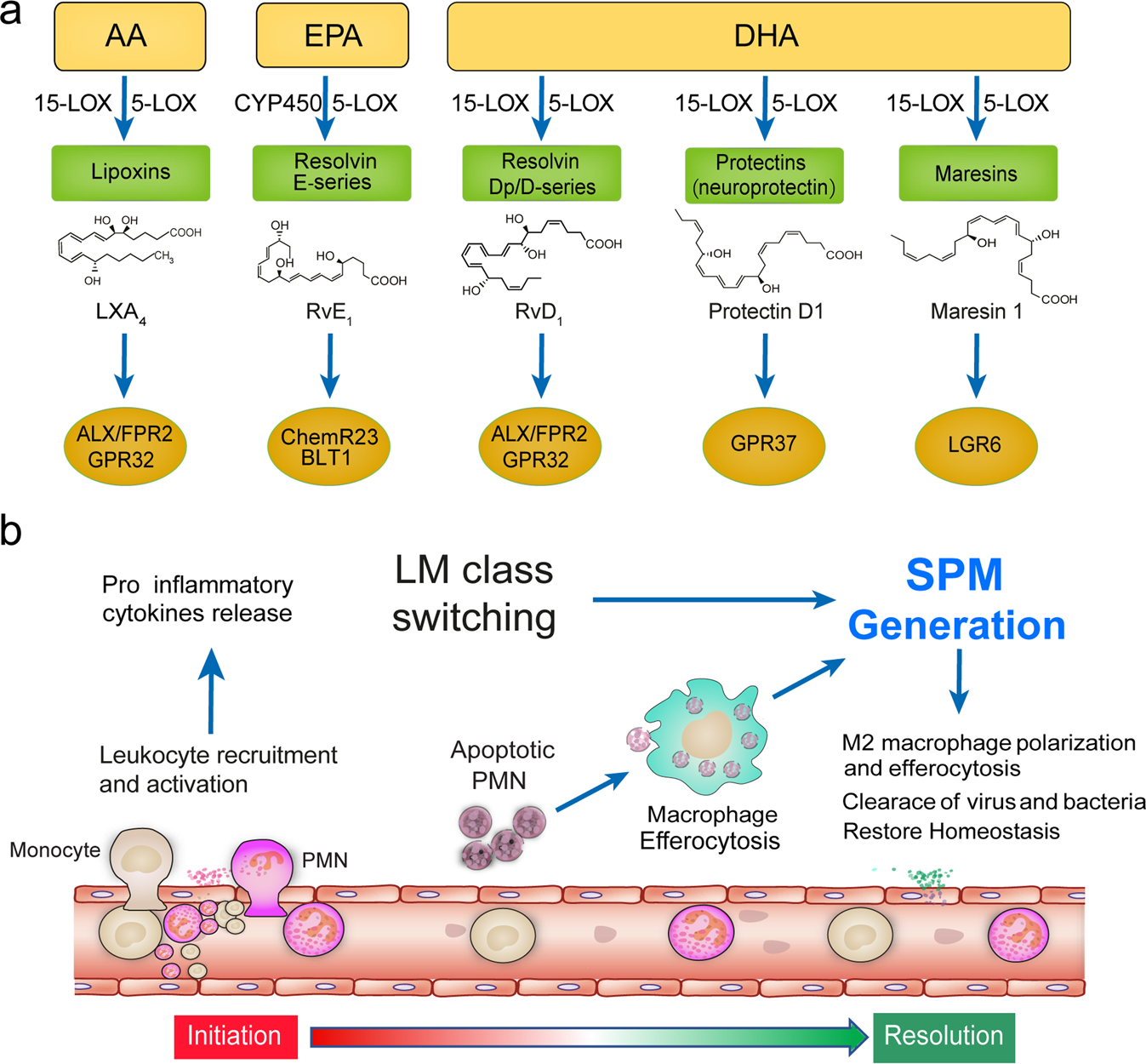 Inflammation and tumor progression: signaling pathways and targeted  intervention