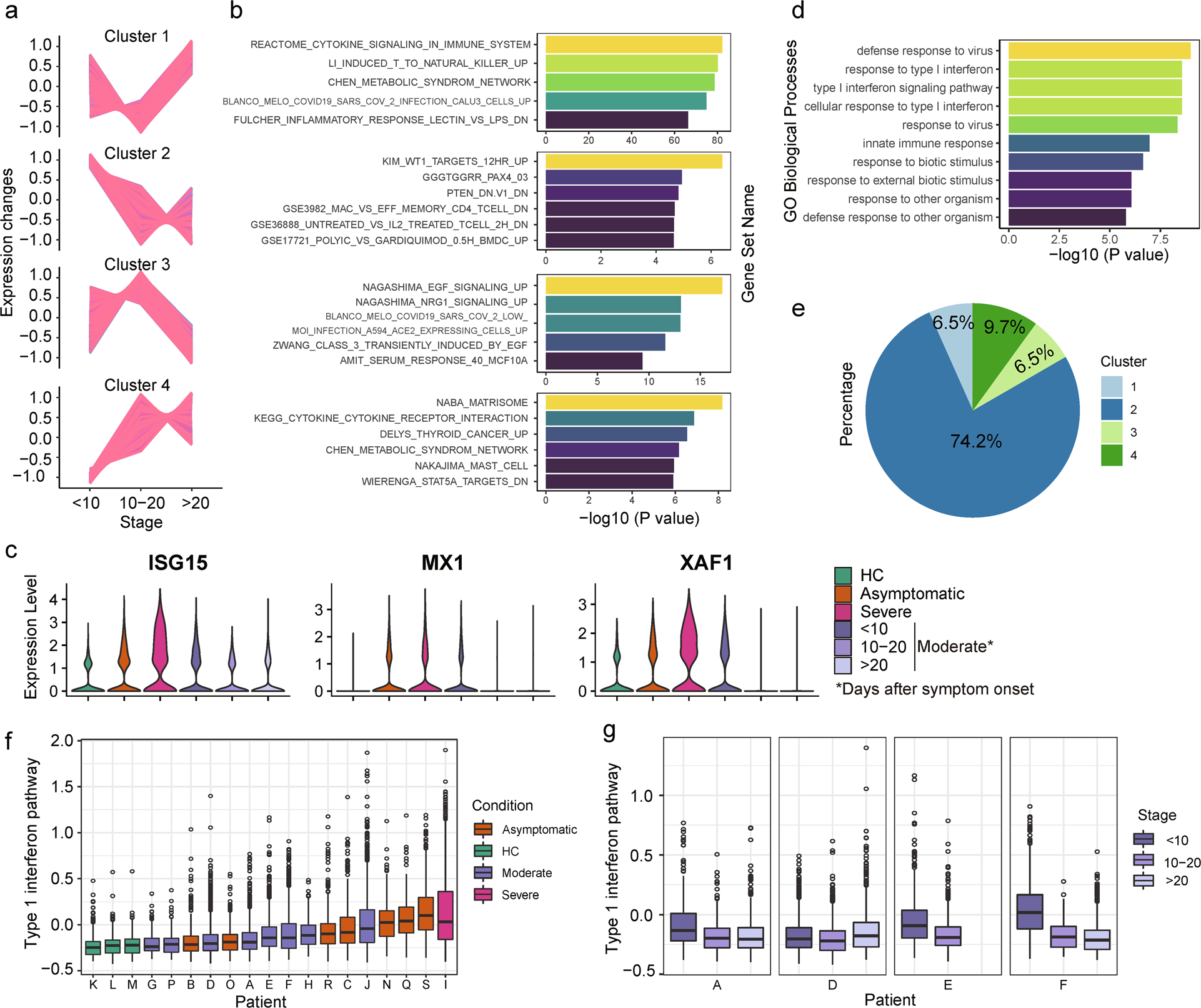 Fig. 4: Increased IFN-1 signaling pathway in severe and early stage moderate patients.