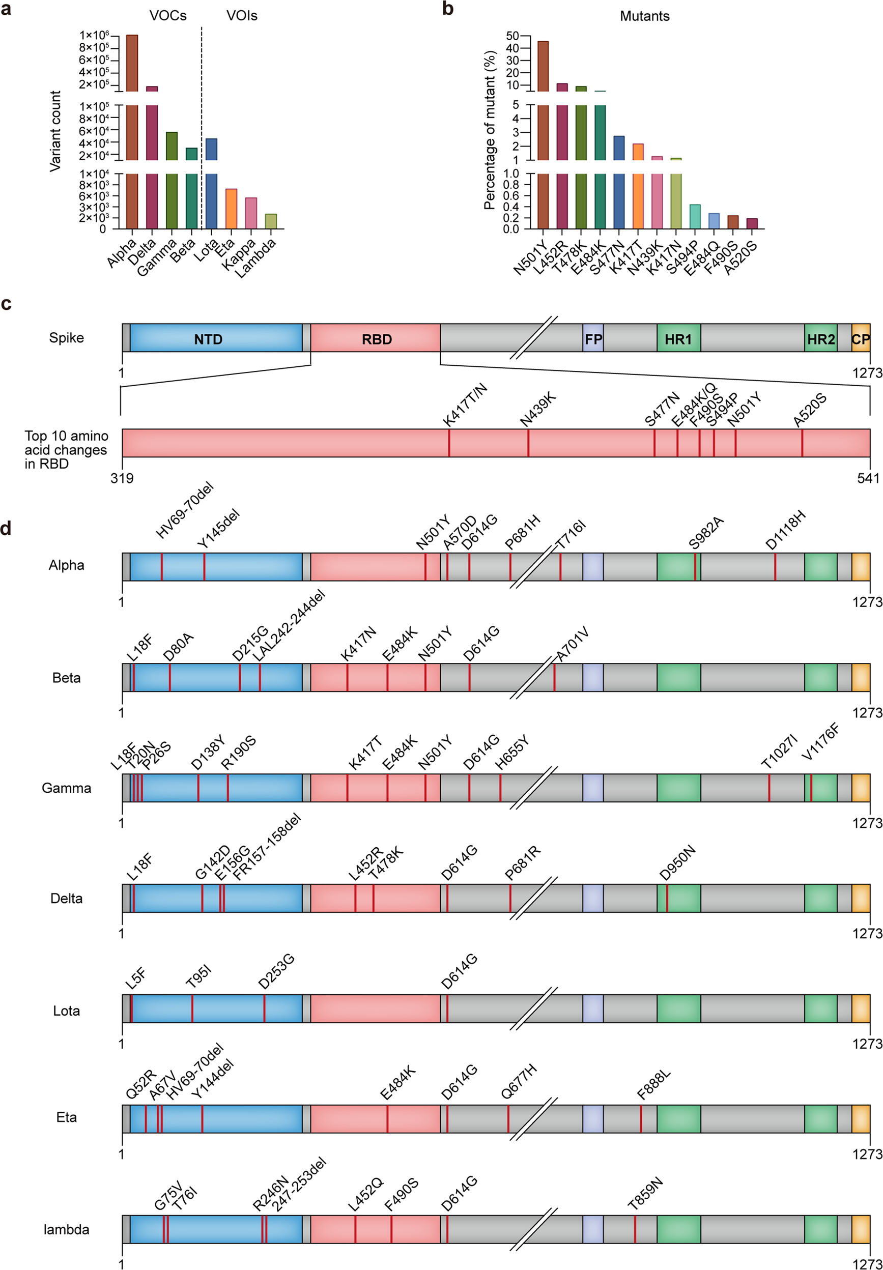 Fig. 1: Circulating variants and most common amino acid changes in SARS-CoV-2 S protein.