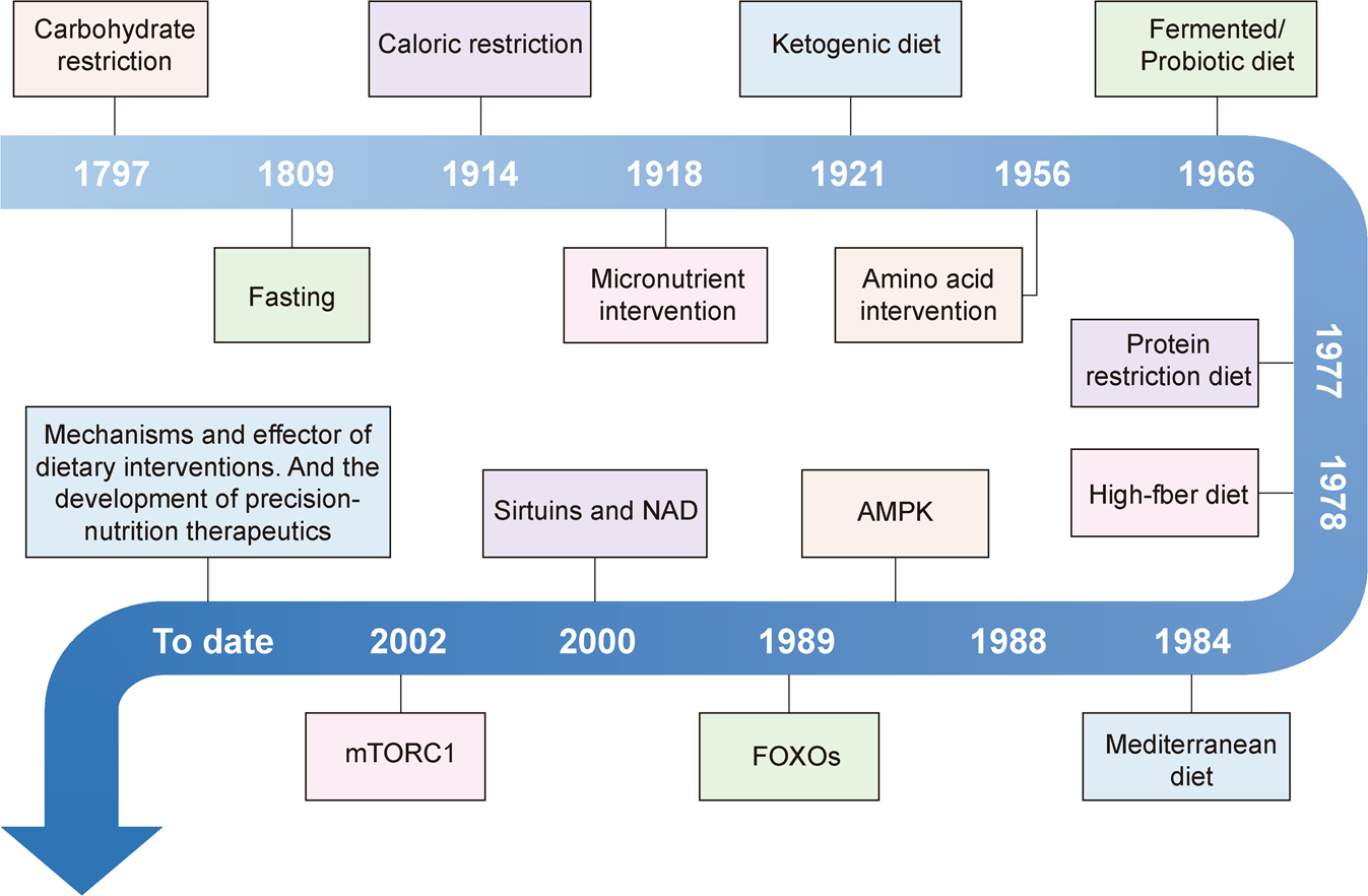 Alzheimer's disease: Can time-restricted eating improve symptoms?