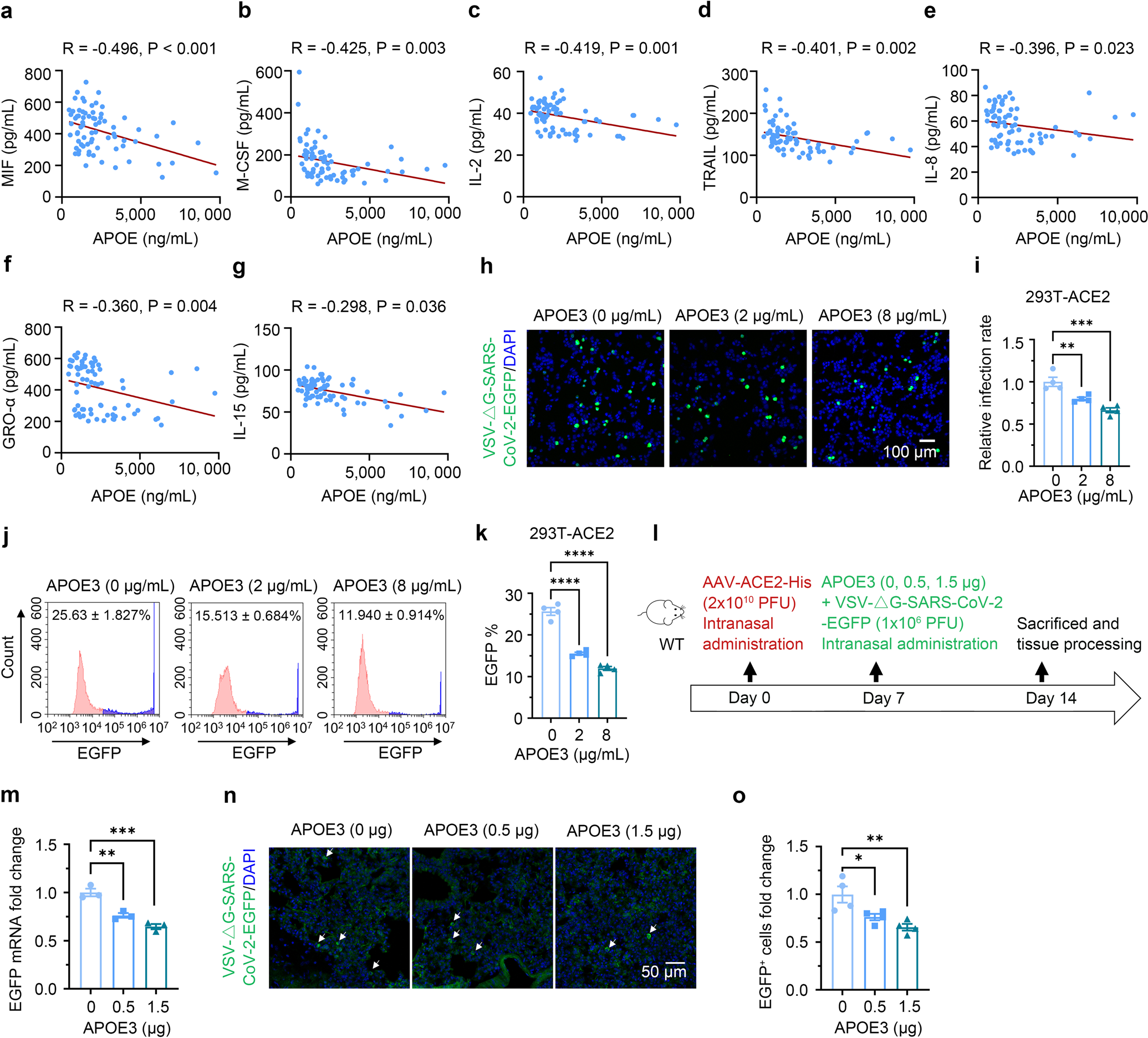 APOE interacts with ACE2 inhibiting SARS-CoV-2 cellular entry and  inflammation in COVID-19 patients | Signal Transduction and Targeted Therapy