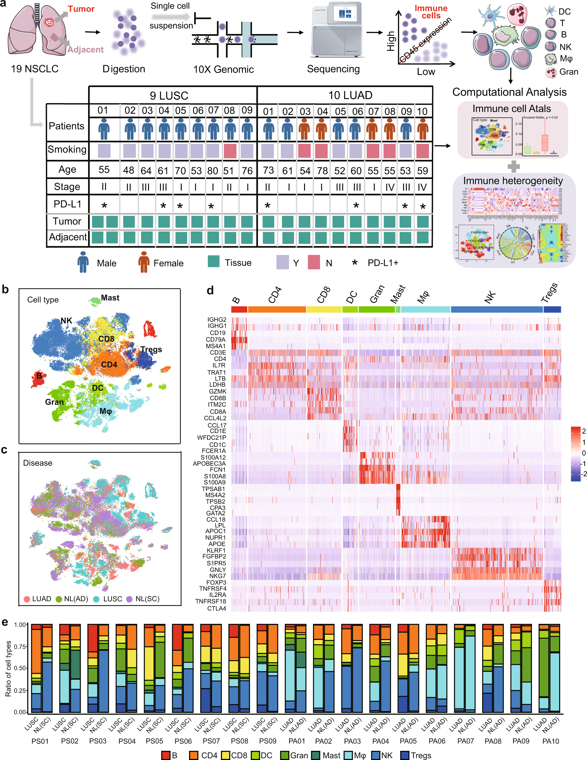 Cellular heterogeneity and immune microenvironment revealed by