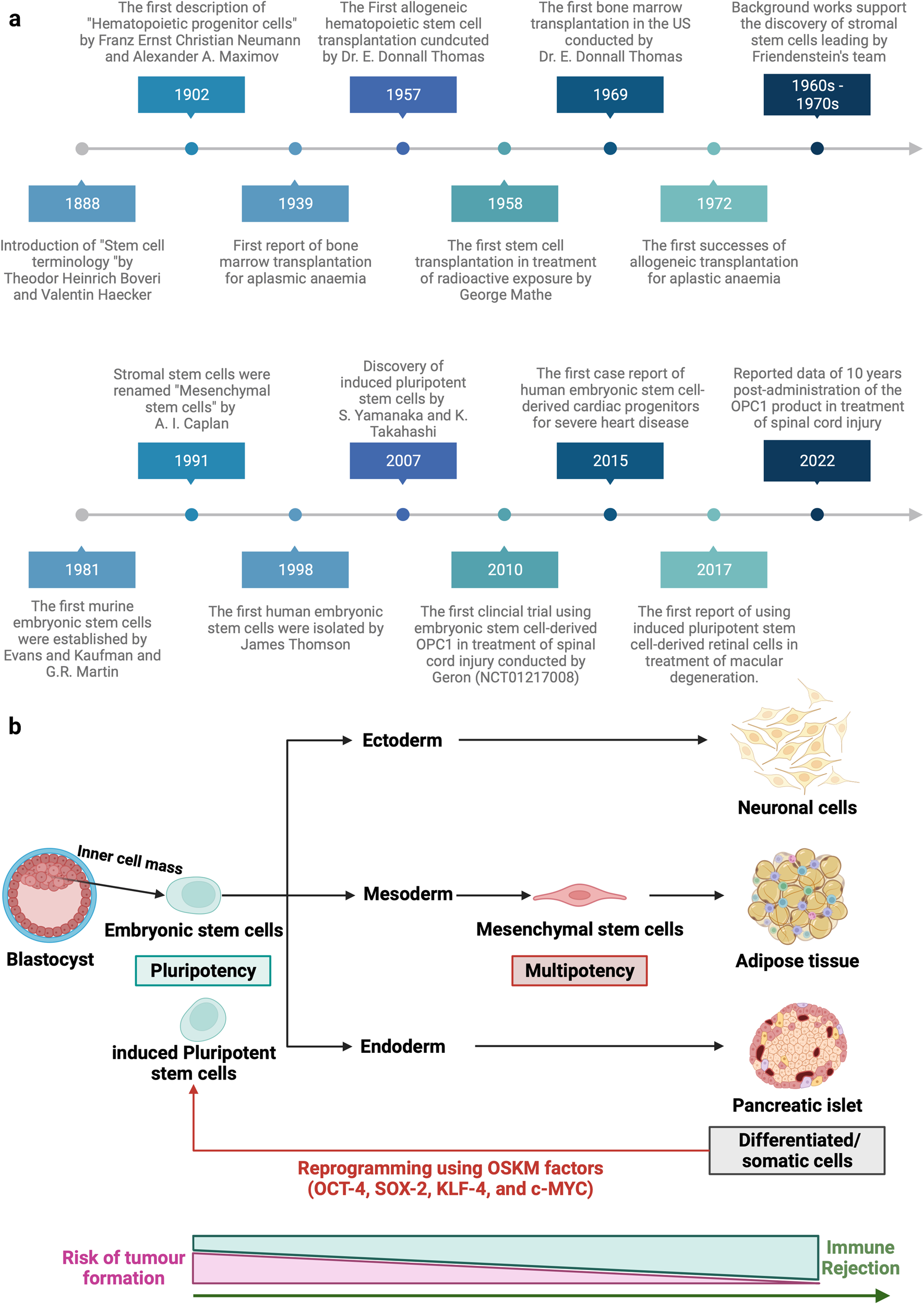 Stem cell-based therapy for human diseases Signal Transduction and Targeted Therapy