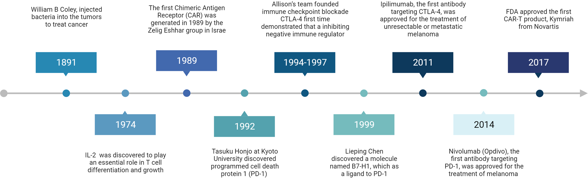 Therapeutic targets and biomarkers of tumor immunotherapy: response versus  non-response | Signal Transduction and Targeted Therapy