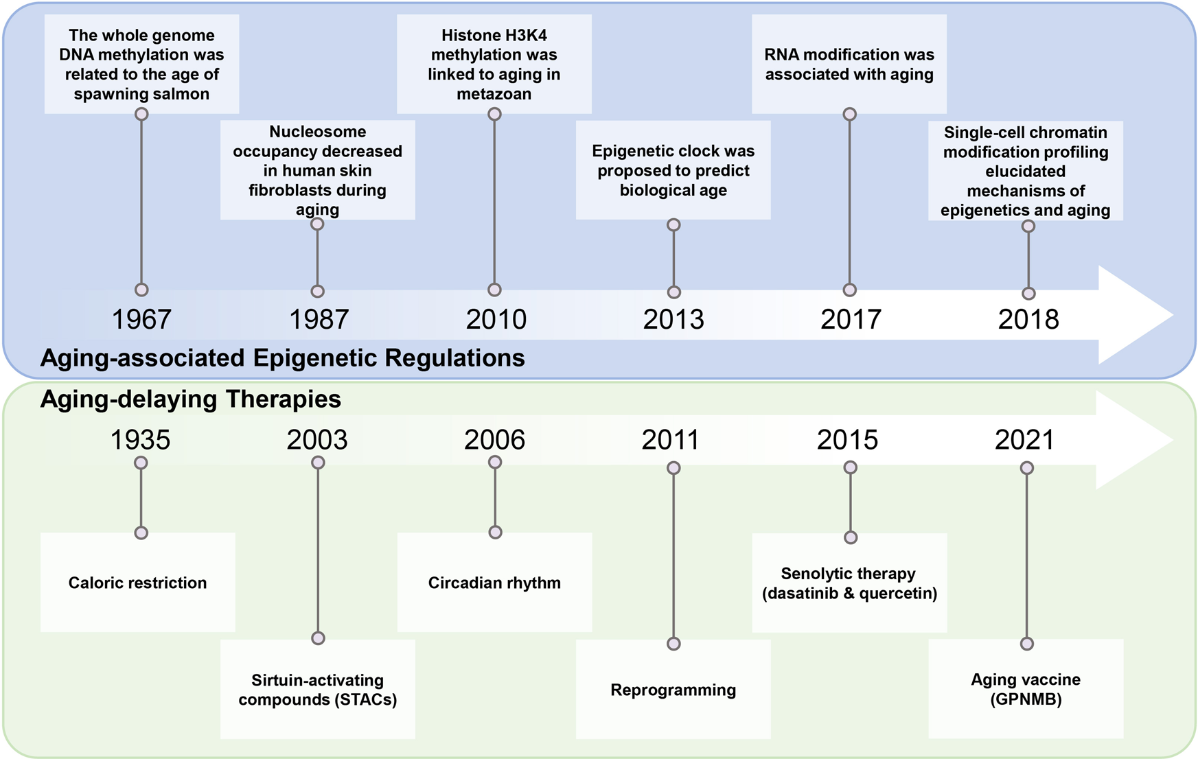 Epigenetic regulation of aging: implications for interventions of aging and  diseases | Signal Transduction and Targeted Therapy