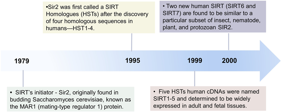 The sirtuin family in health and disease | Signal Transduction and Targeted  Therapy