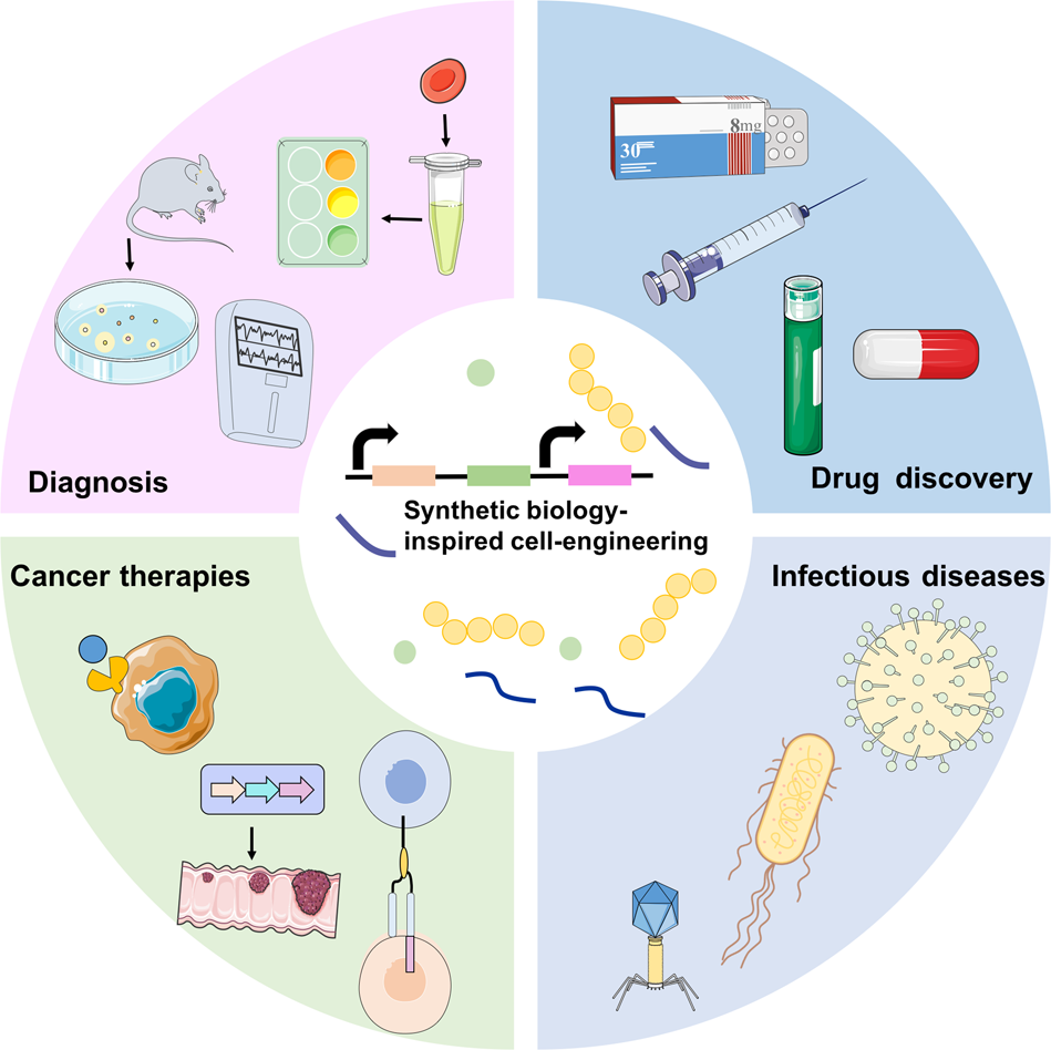 Researchers develop new method to analyze proteins in ecologically